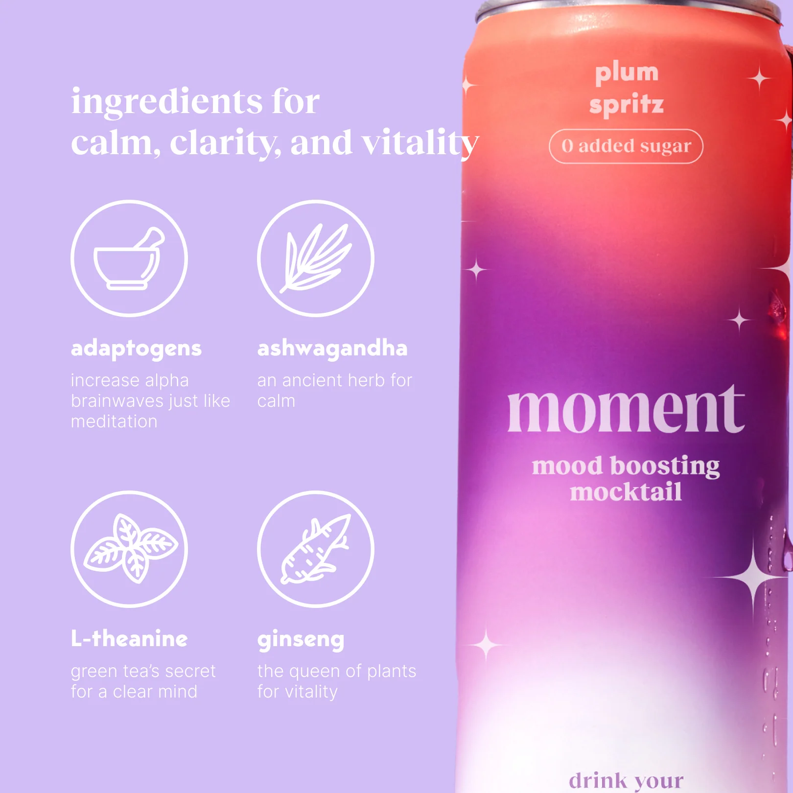 plum spritz (sparkling mocktail | 12 pack) - Image 4