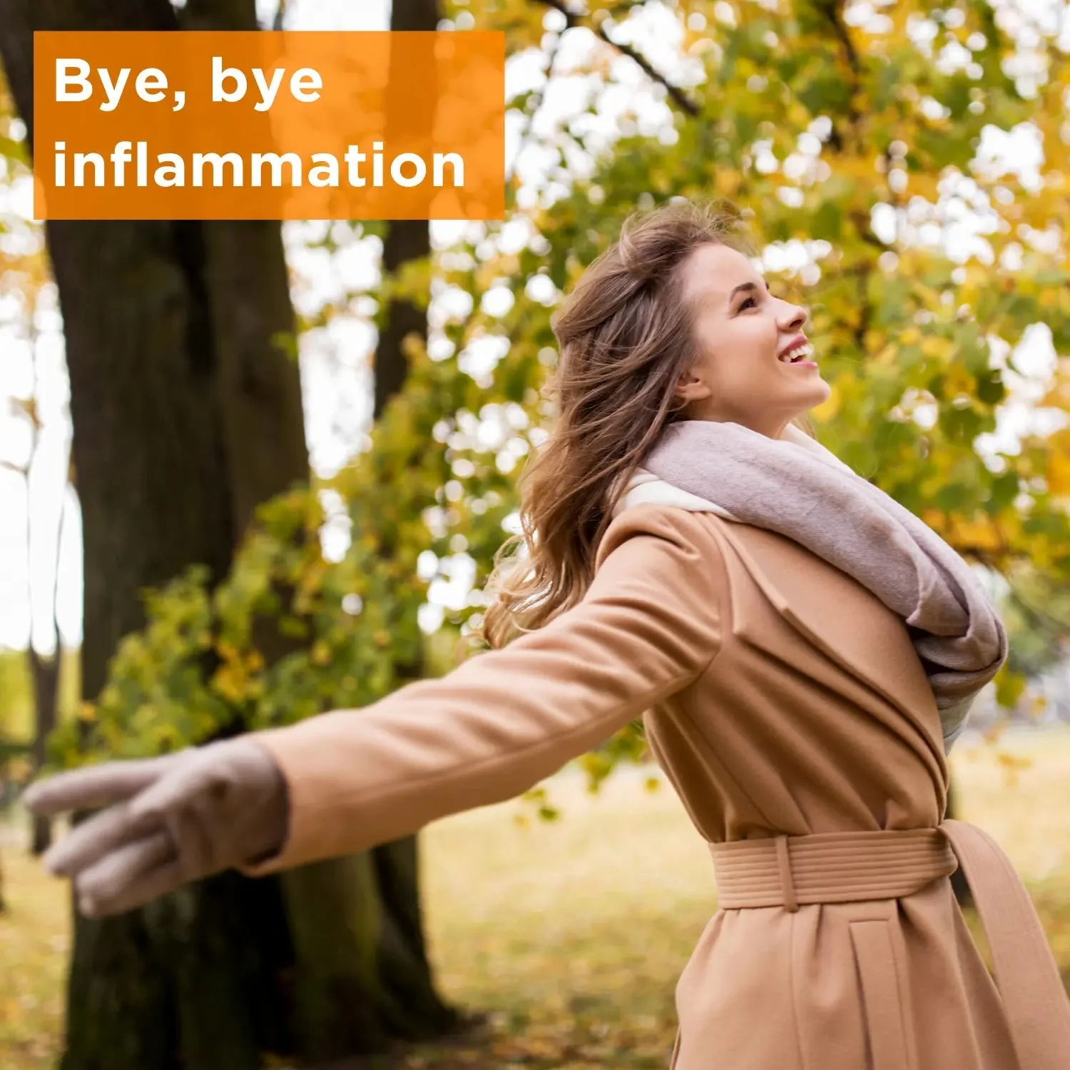 Premium Curcumin Turmeric - Image 6