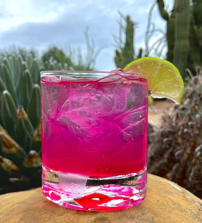 Prickly Pear Simple Syrup - Image 5