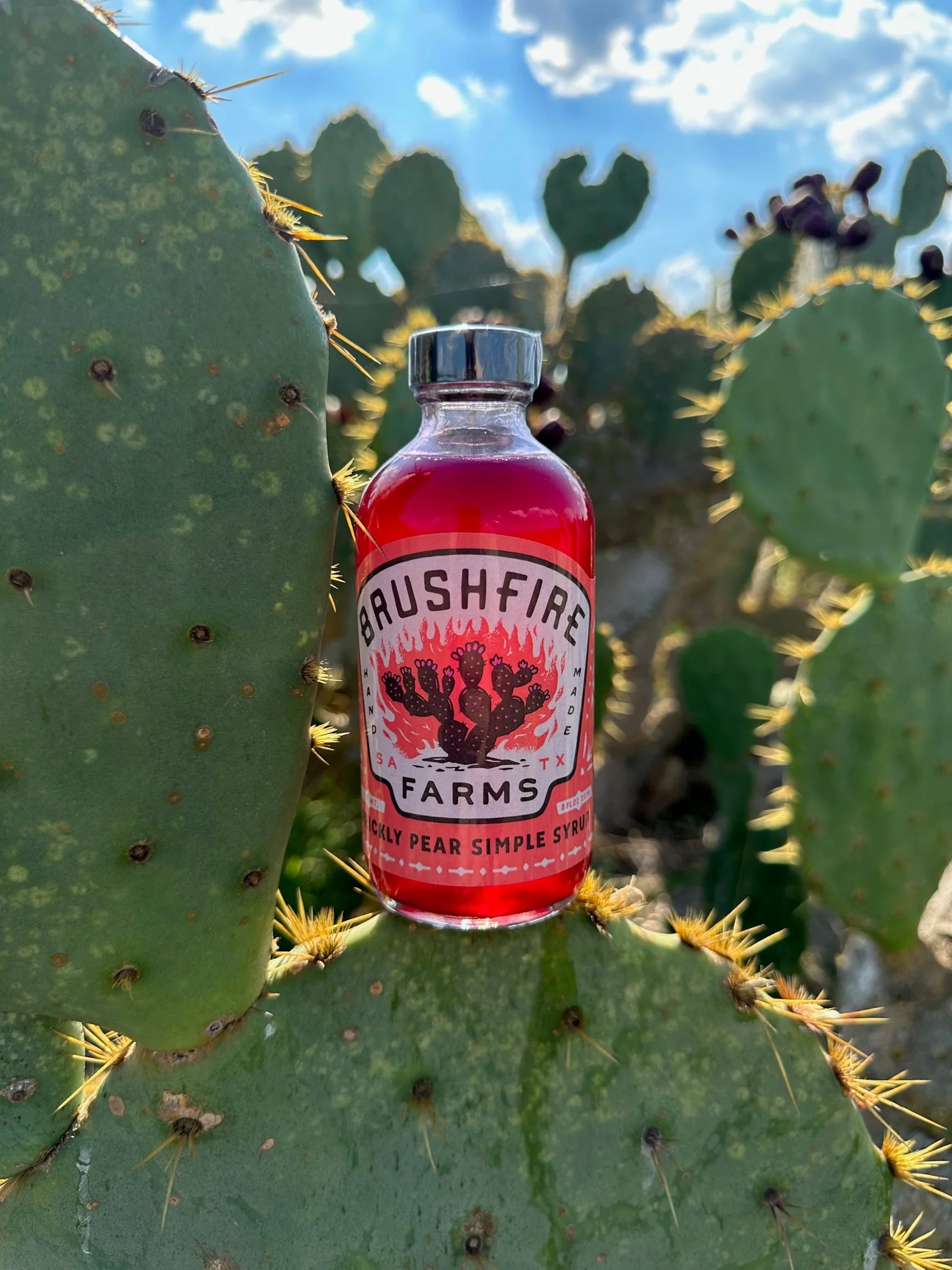 Prickly Pear Simple Syrup - Image 6