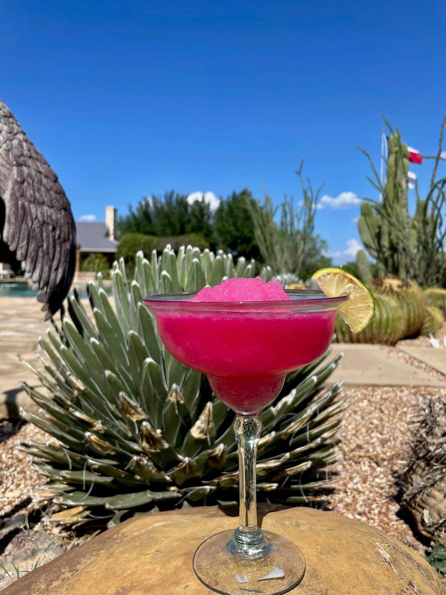 Prickly Pear Simple Syrup - Image 7