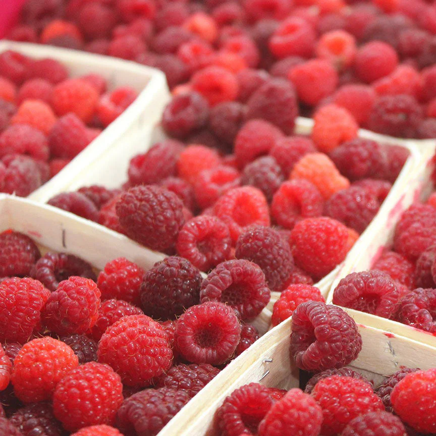 Raspberry Hibiscus Preserve - Image 4