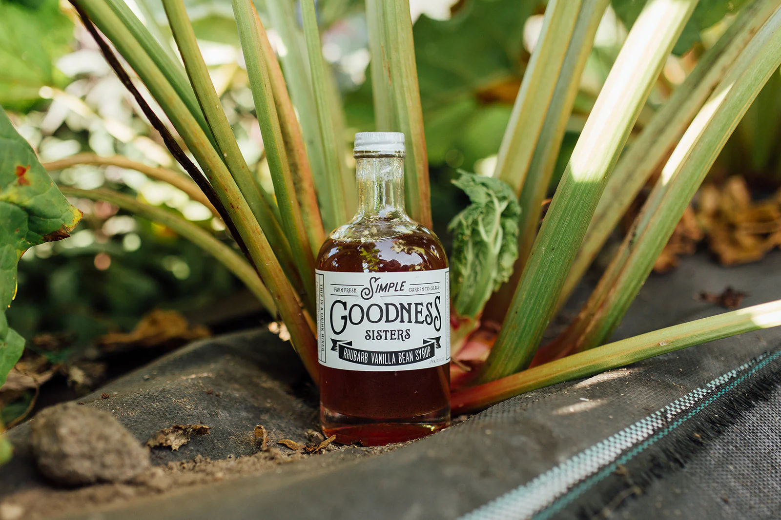 Rhubarb Vanilla Bean Syrup - Image 6