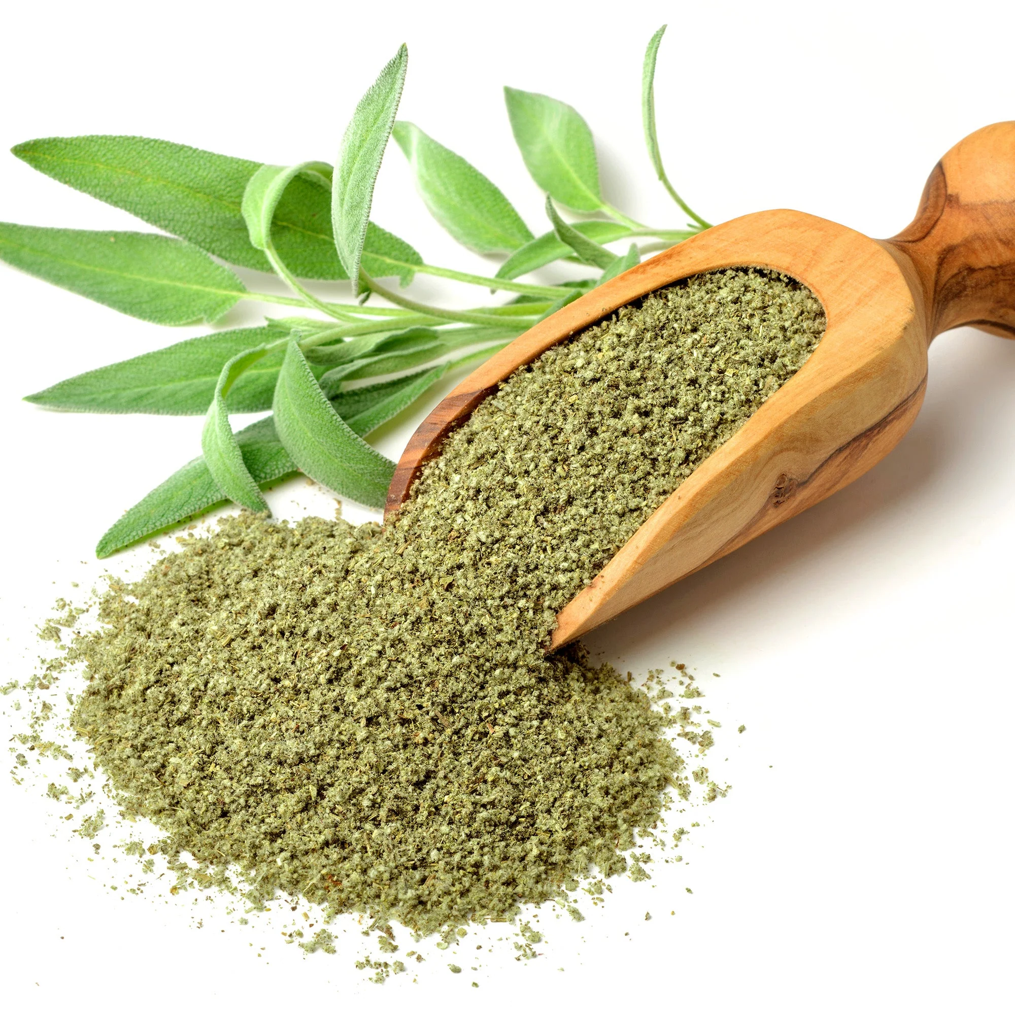 Rubbed Sage - Image 4