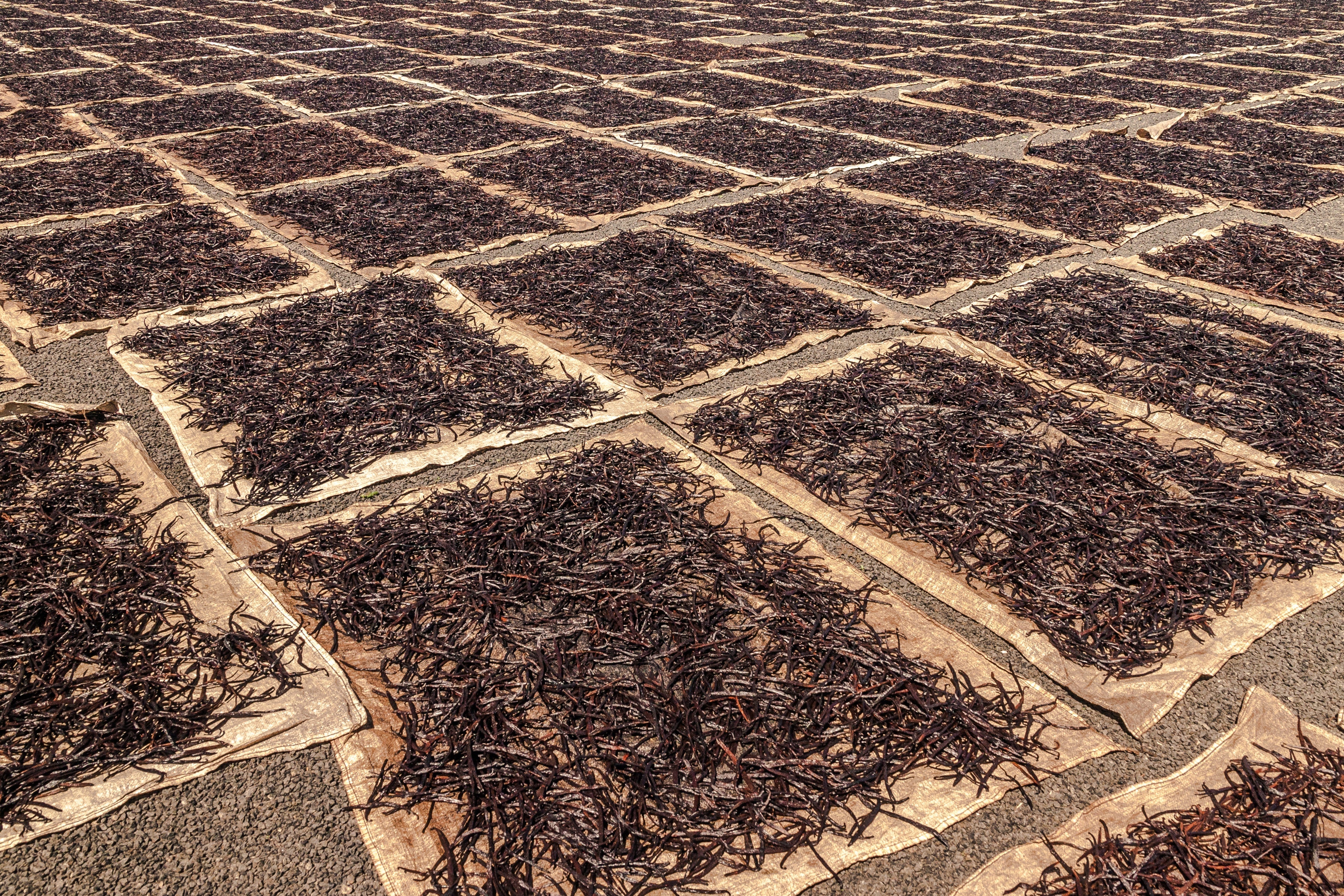 Rwanda Vanilla Beans Grade A Whole Pods - Image 6
