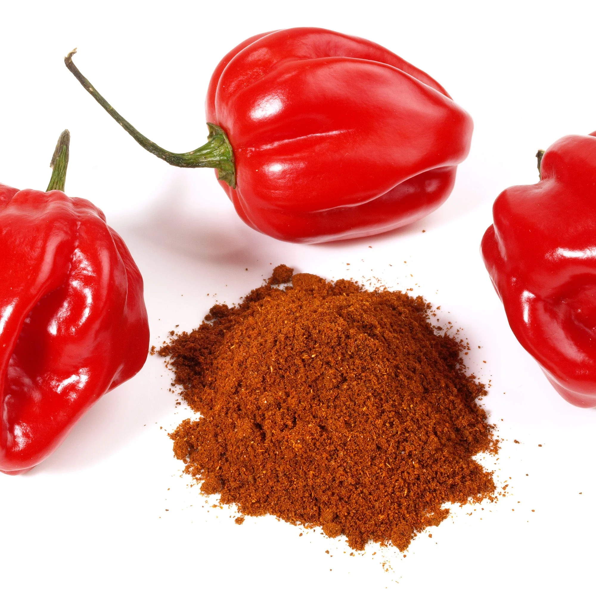 Scorpion Chile Powder - Image 4