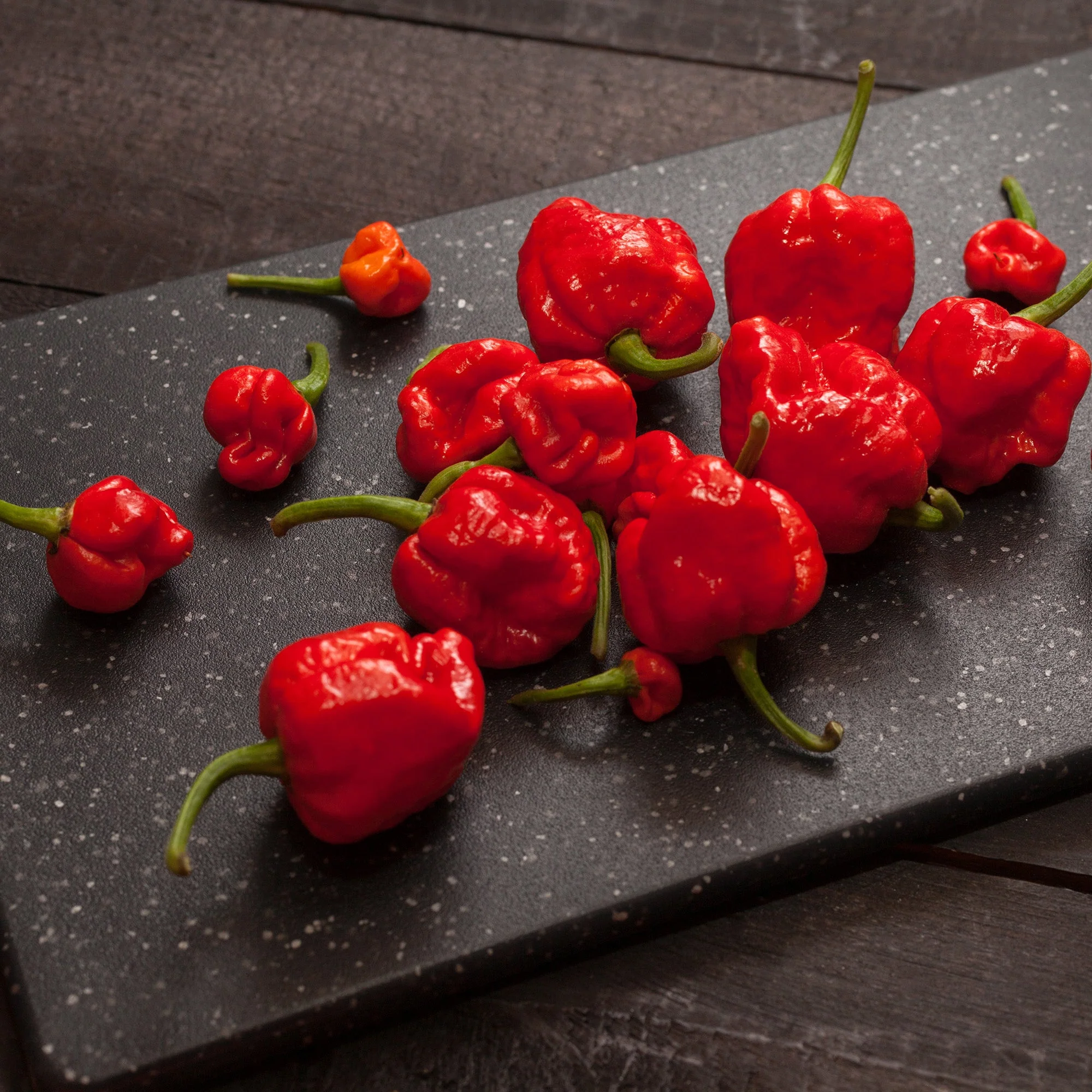 Scorpion Chile Powder - Image 6