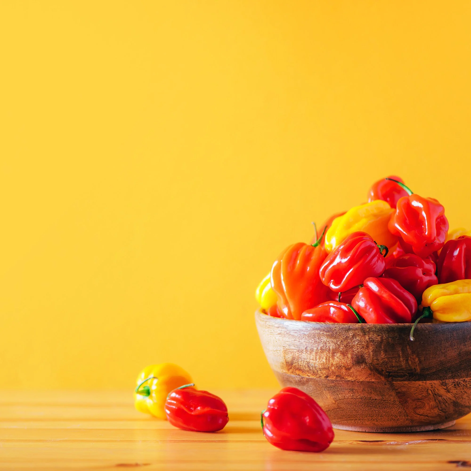 Scotch Bonnet Chile Powder - Image 9