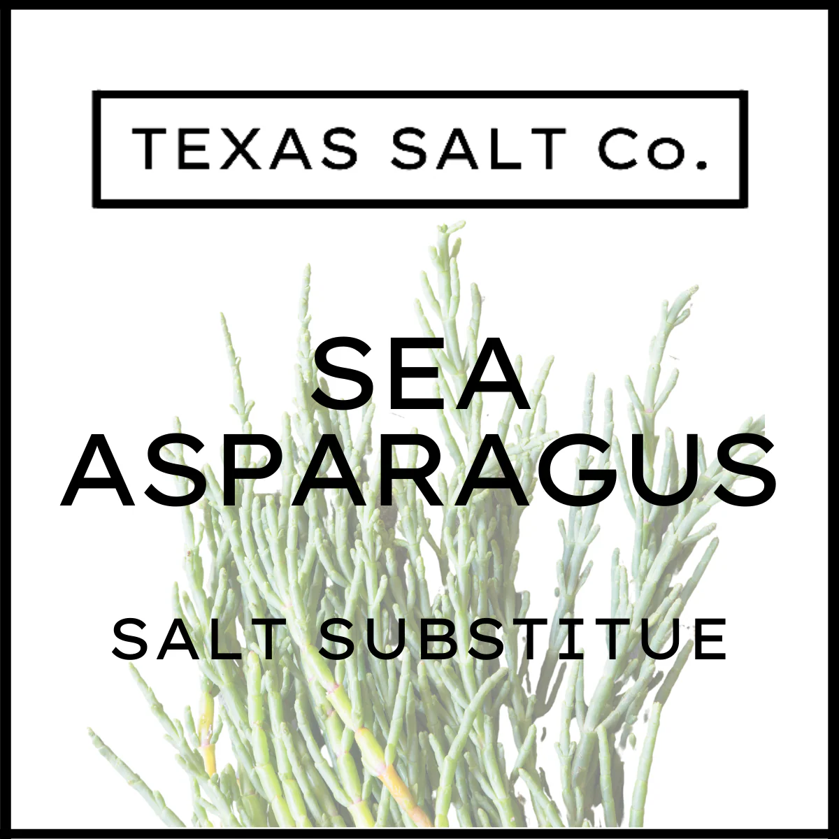 Sea Asparagus (Salt Substitute) - Image 4
