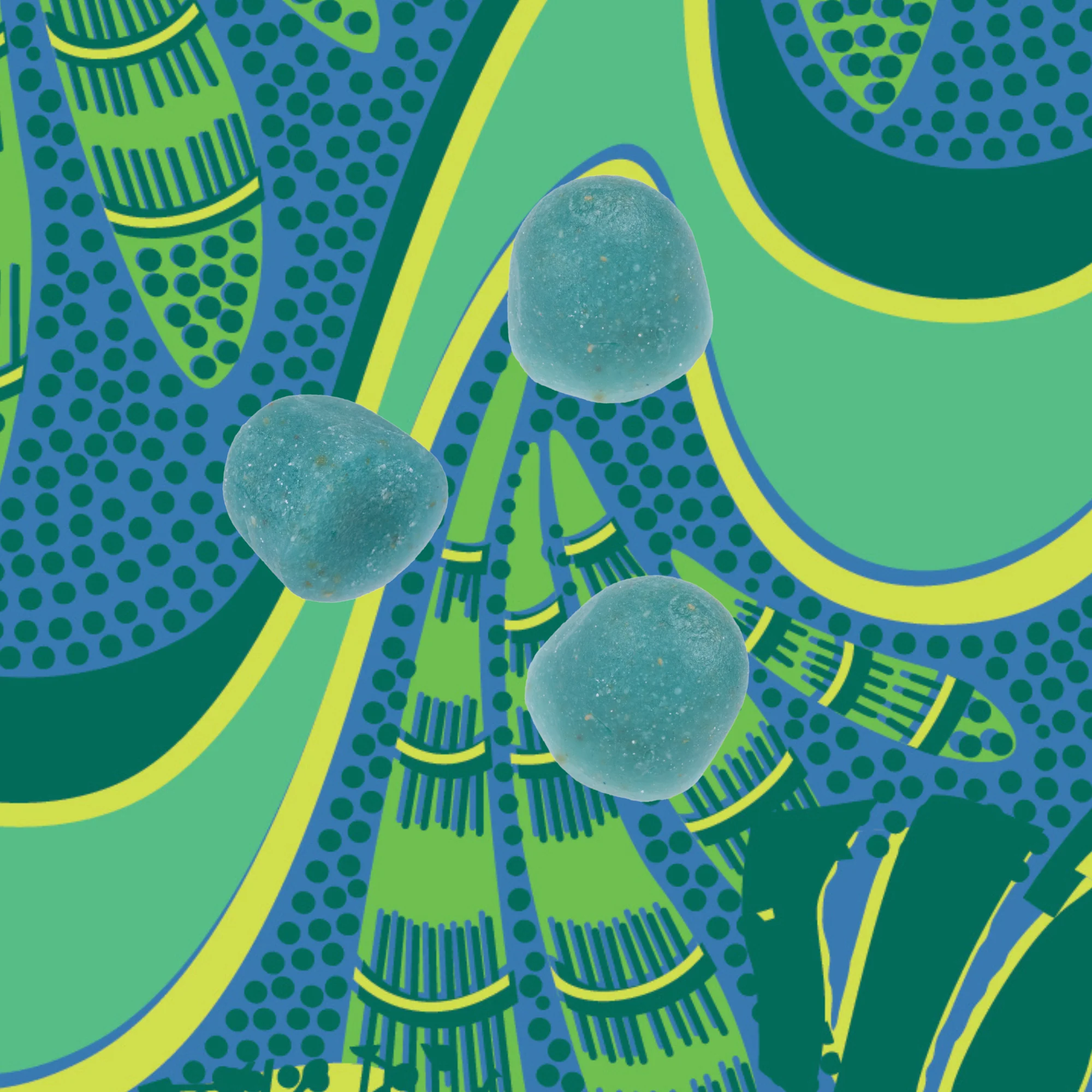 Sea Moss & Blue Spirulina Superfood Gummies - Image 3
