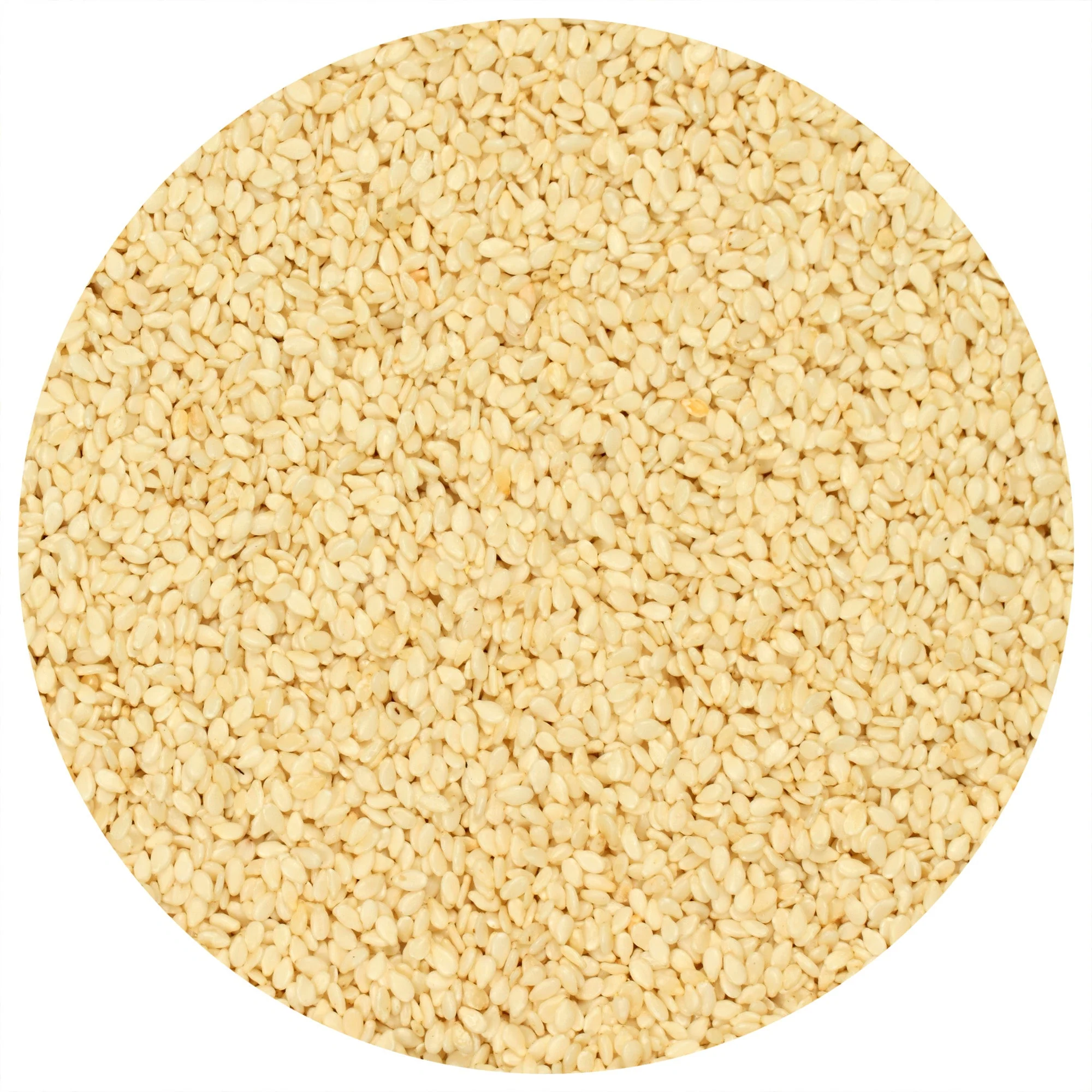 Sesame Seeds (Toasted) - Image 2