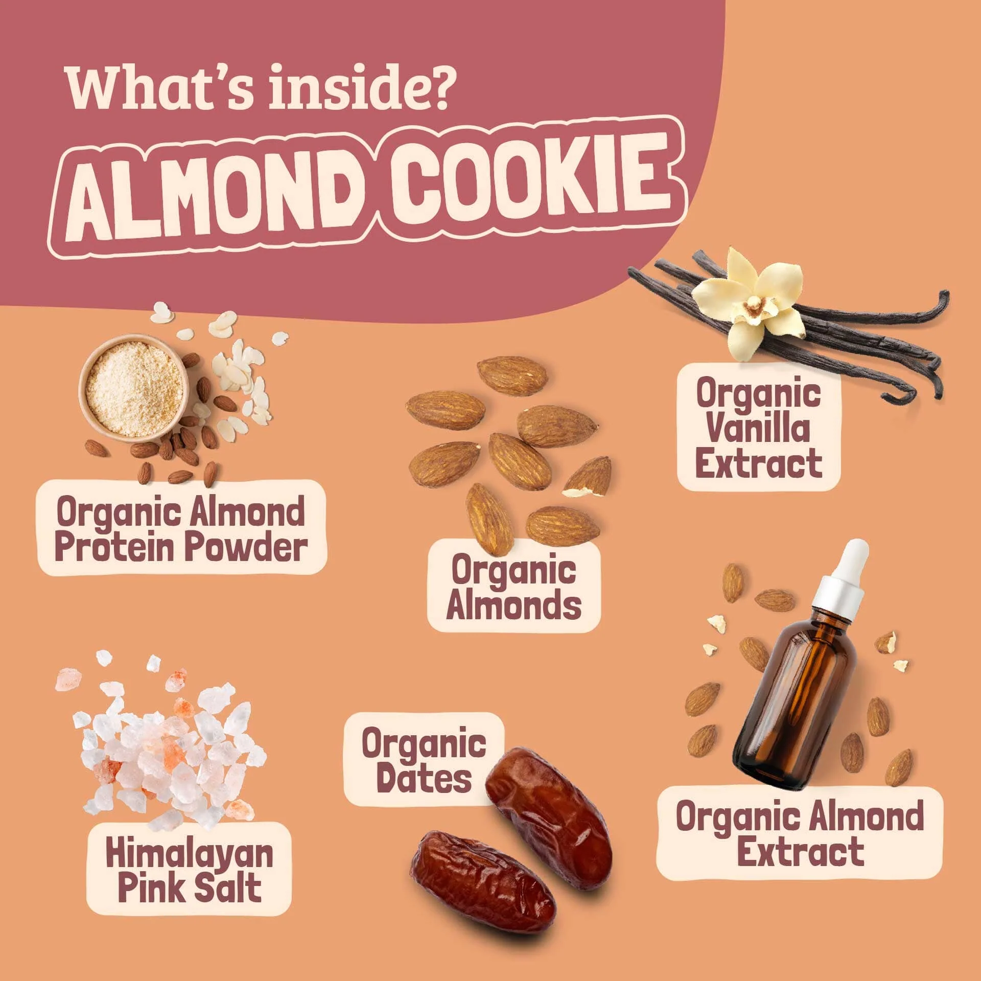 Skout Organic Almond Cookie Kids Bar - Image 5