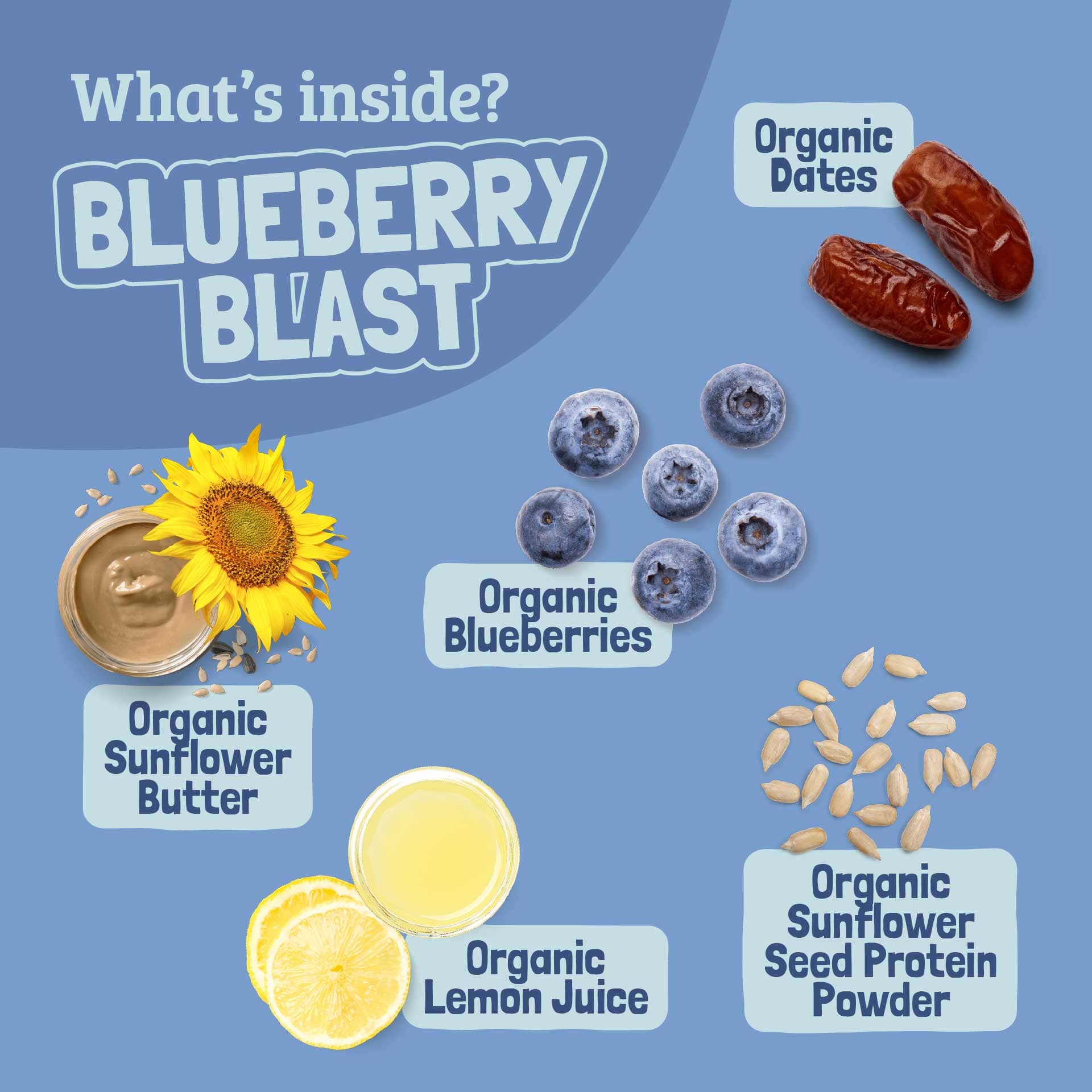 Skout Organic Blueberry Blast Kids Bar - Image 5