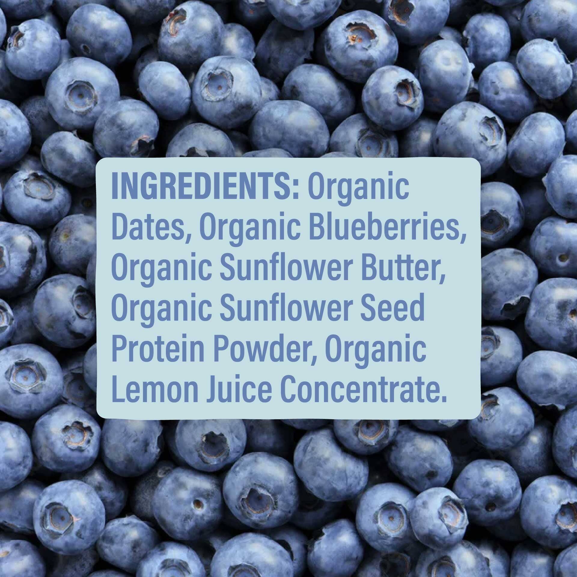 Skout Organic Blueberry Blast Kids Bar - Image 6