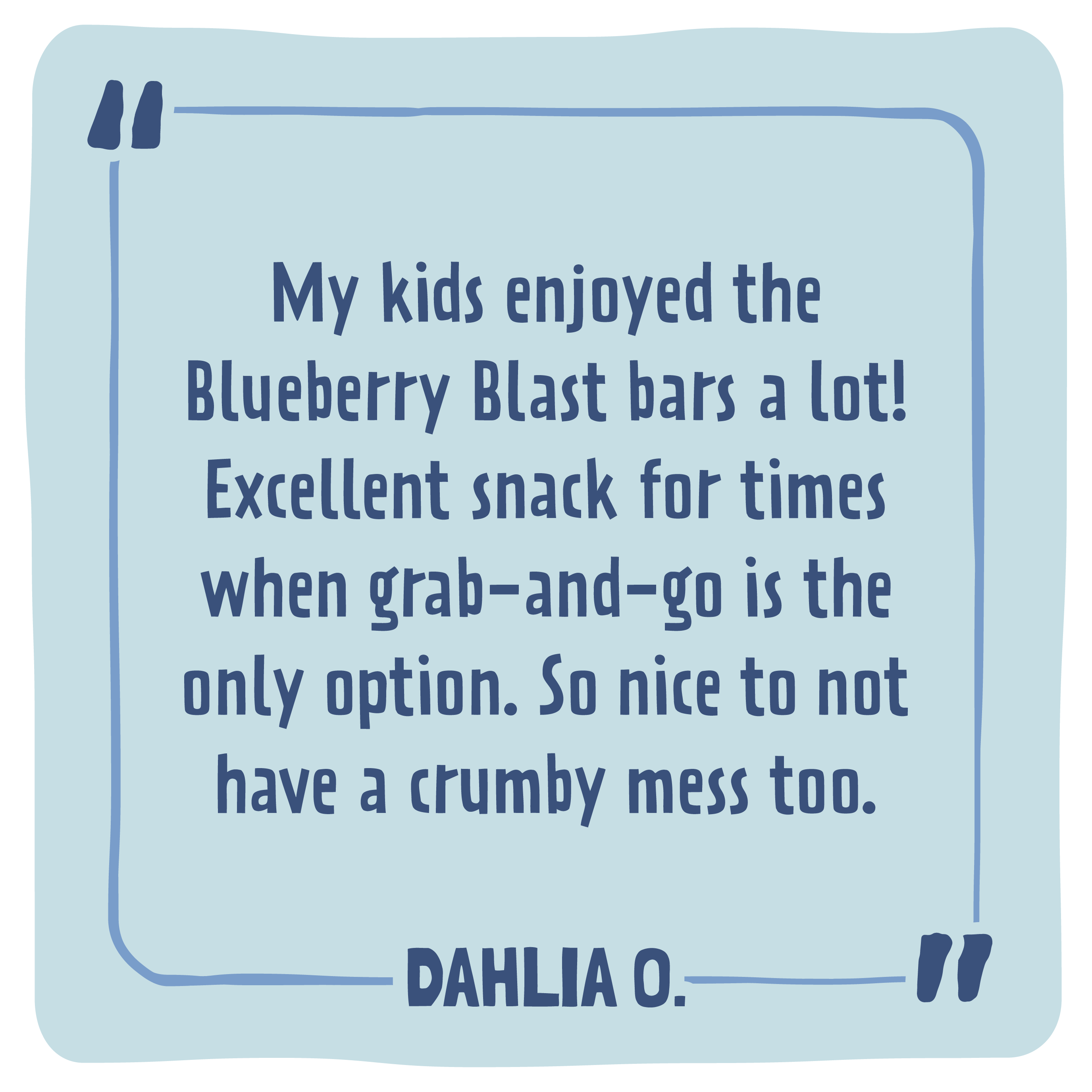 Skout Organic Blueberry Blast Kids Bar - Image 7