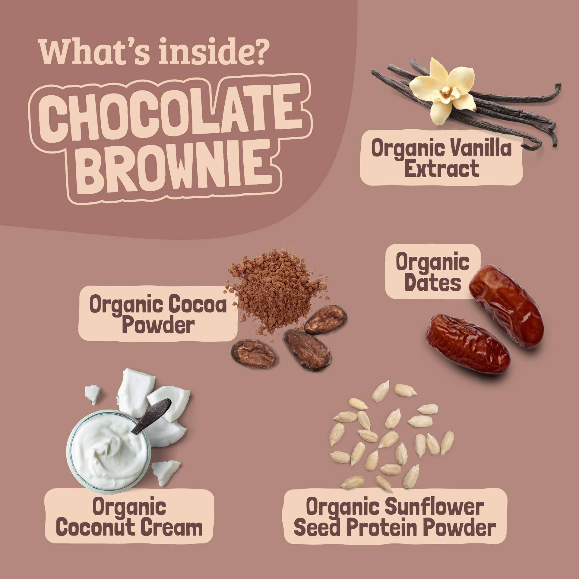 Skout Organic Chocolate Brownie Kids Bar - Image 5