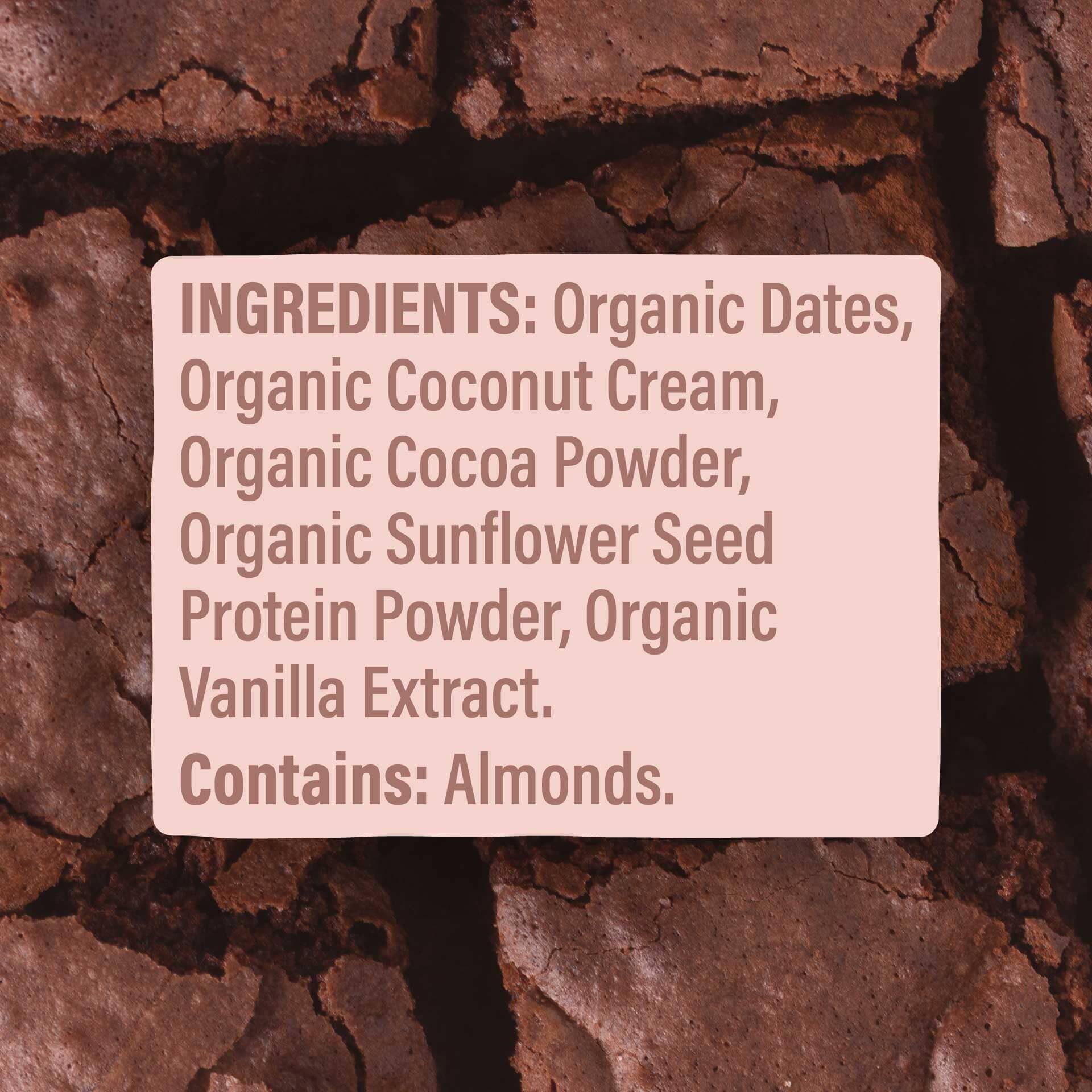 Skout Organic Chocolate Brownie Kids Bar - Image 6