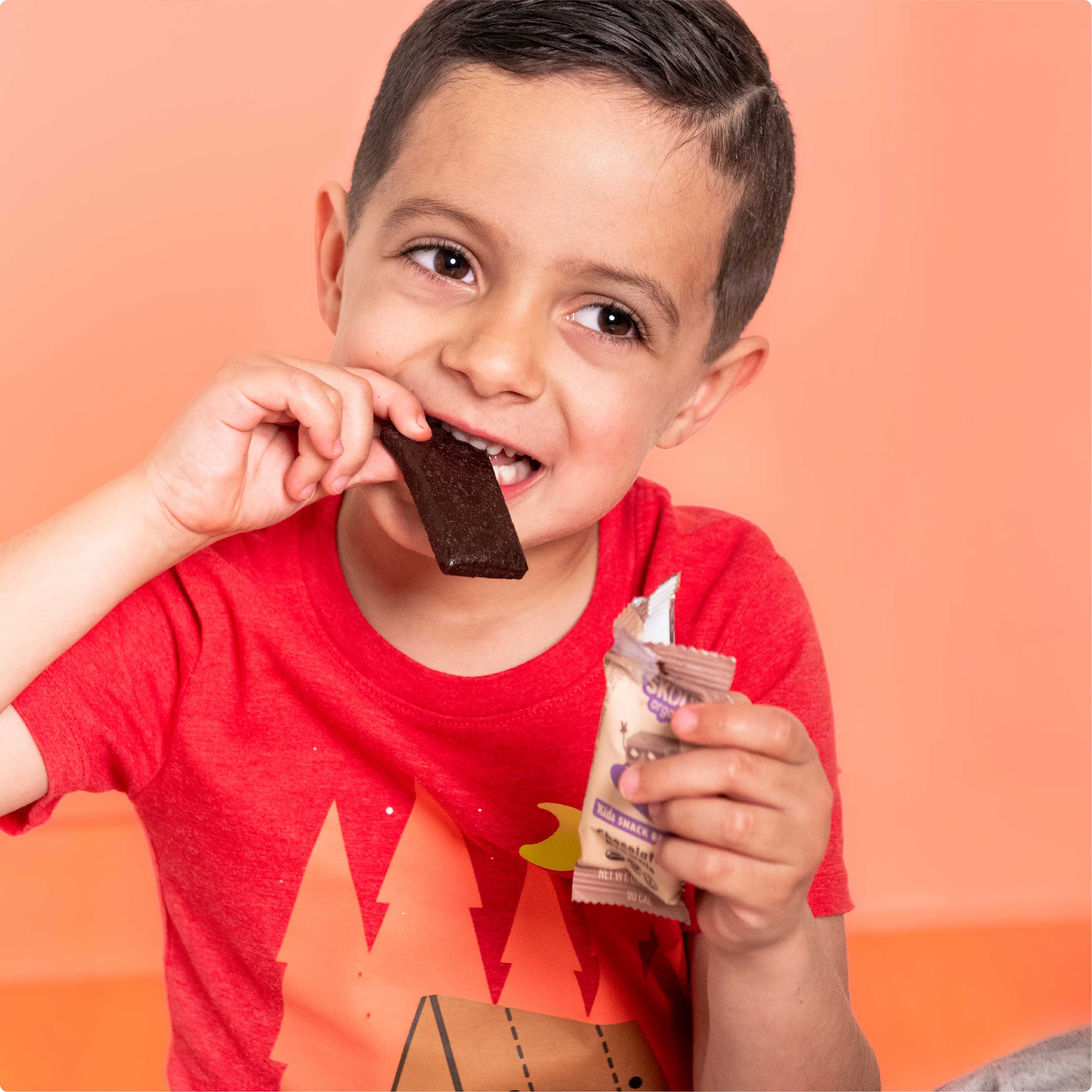 Skout Organic Chocolate Brownie Kids Bar - Image 9