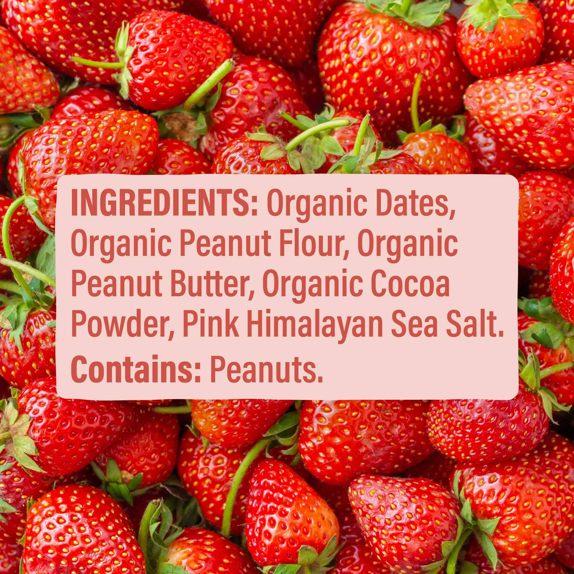Skout Organic Peanut Butter & Jelly Kids Bar - Image 6