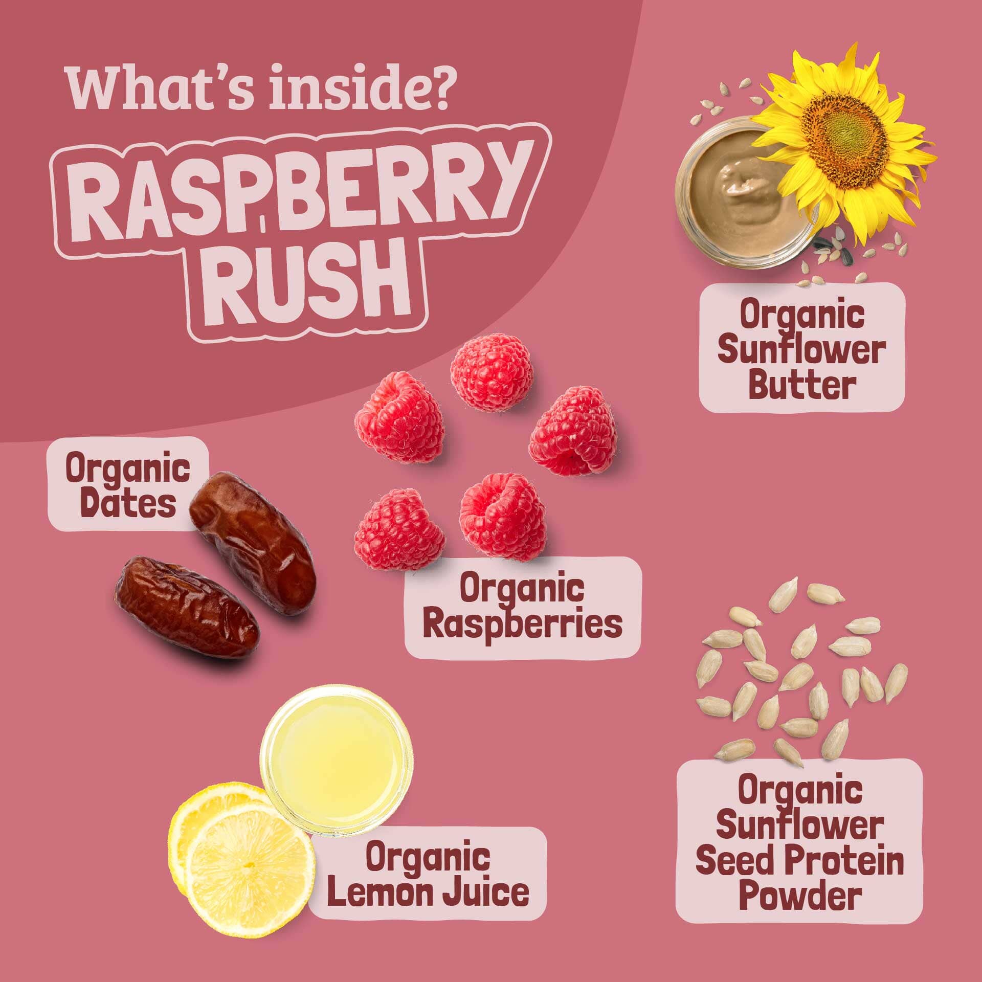 Skout Organic Raspberry Rush Kids Bar - Image 5