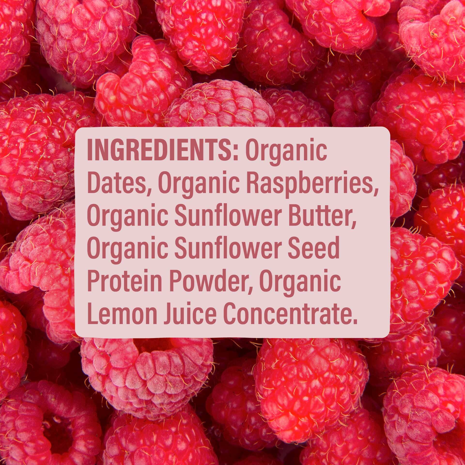 Skout Organic Raspberry Rush Kids Bar - Image 6