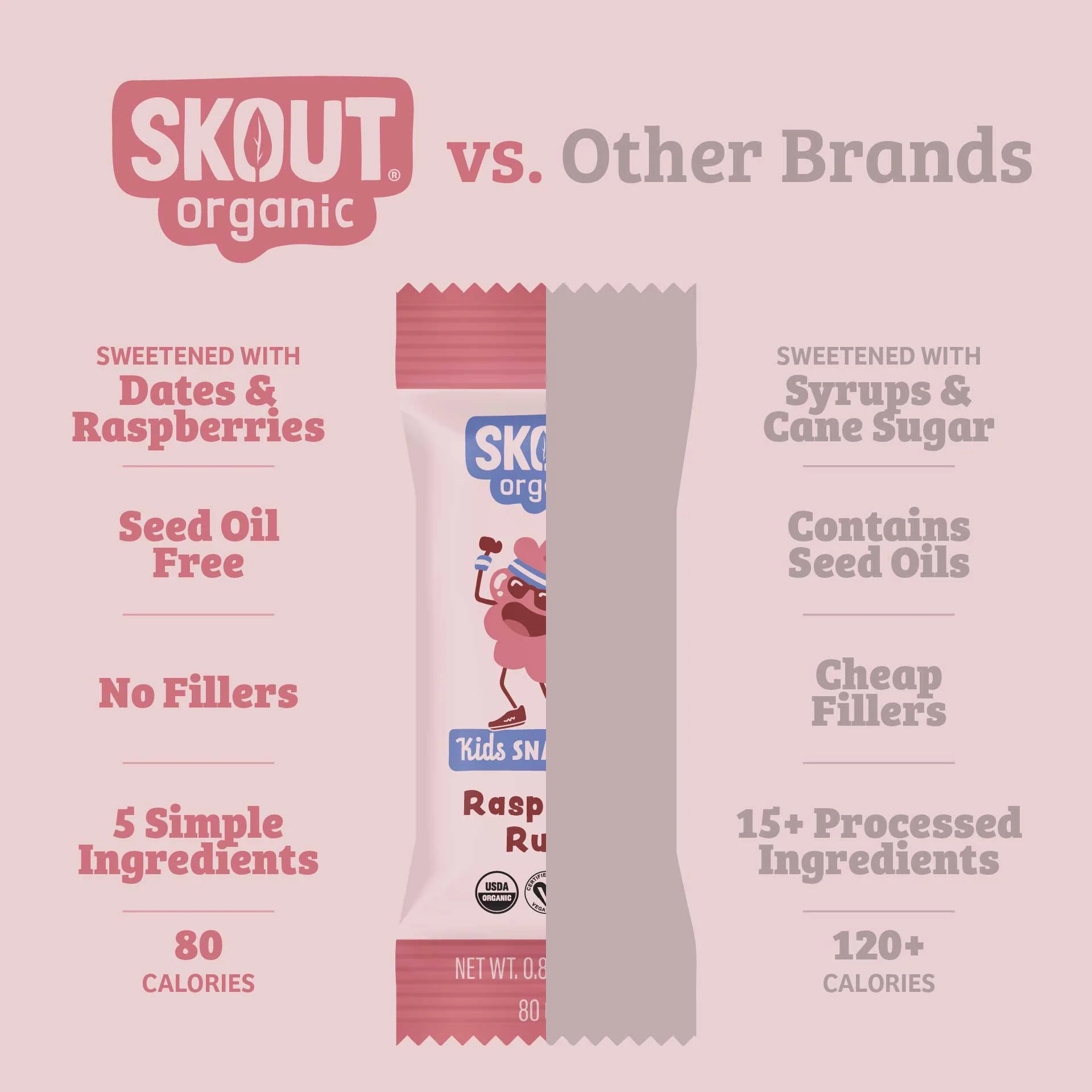 Skout Organic Small Batch Kids Fruit Bar Variety Pack - Image 5