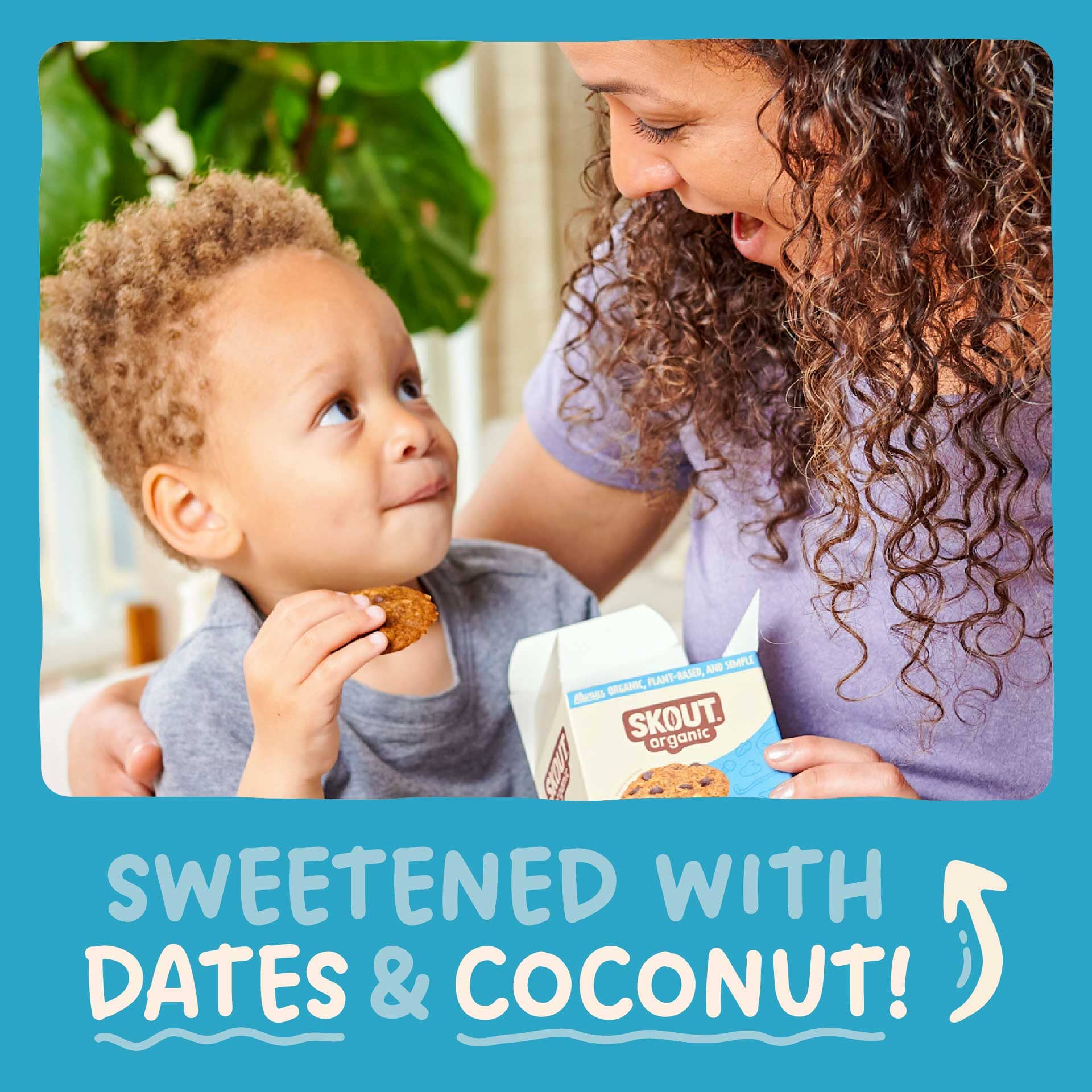 Skout Organic Soft Baked Cookie Sample Pack - Image 5