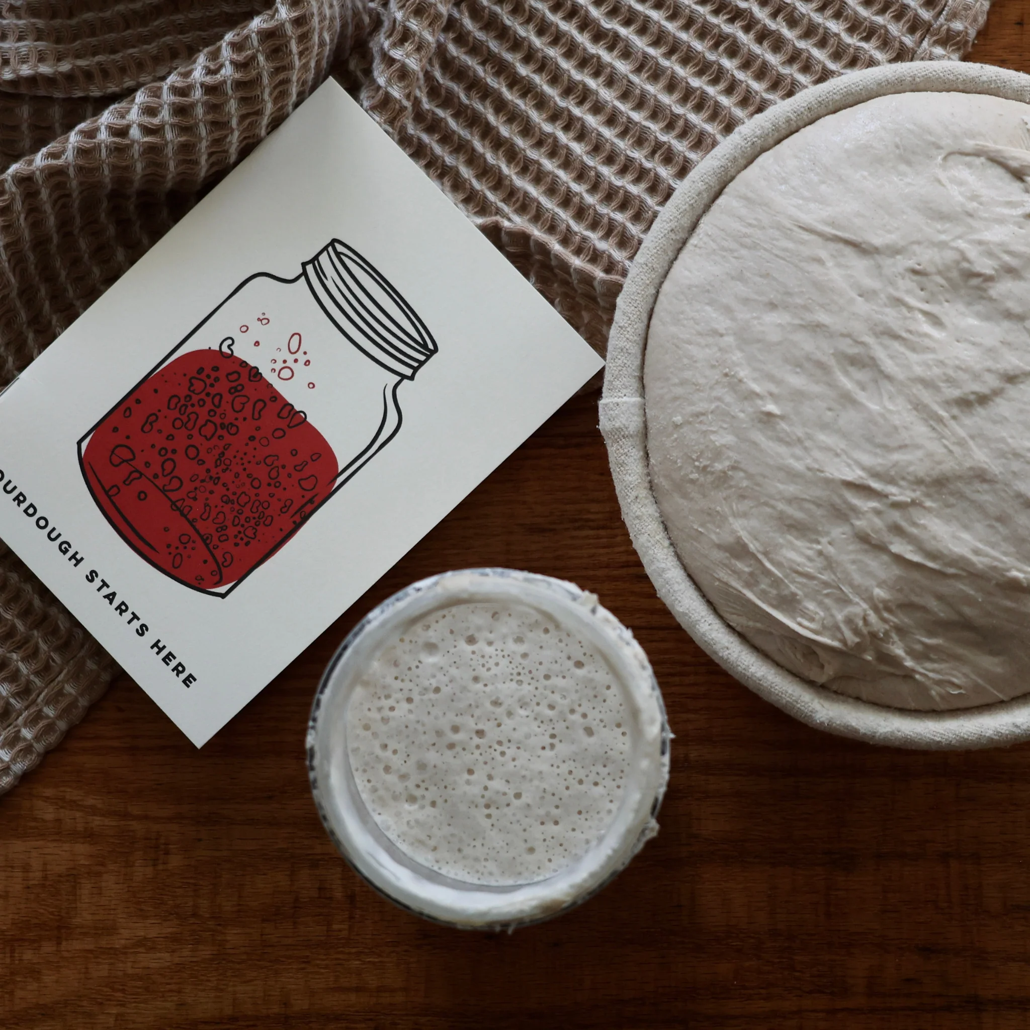 Sourdough Starter - Image 2