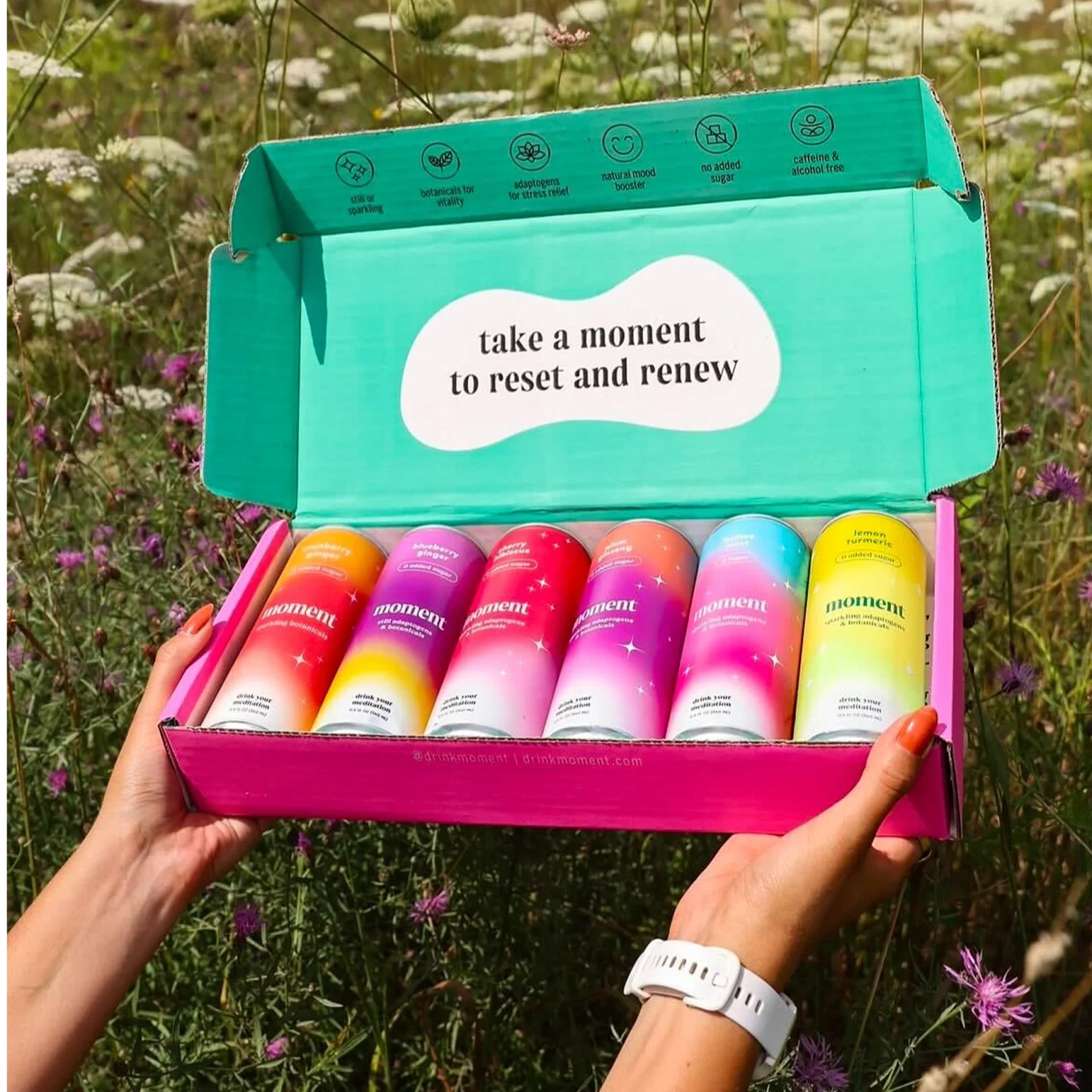 sparkling bestsellers gift box - Image 3