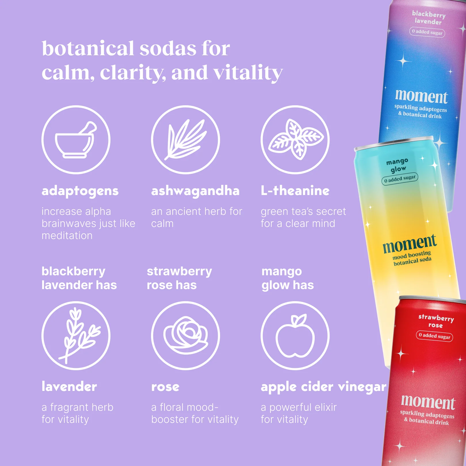 mood-boost sparkling collection - Image 4