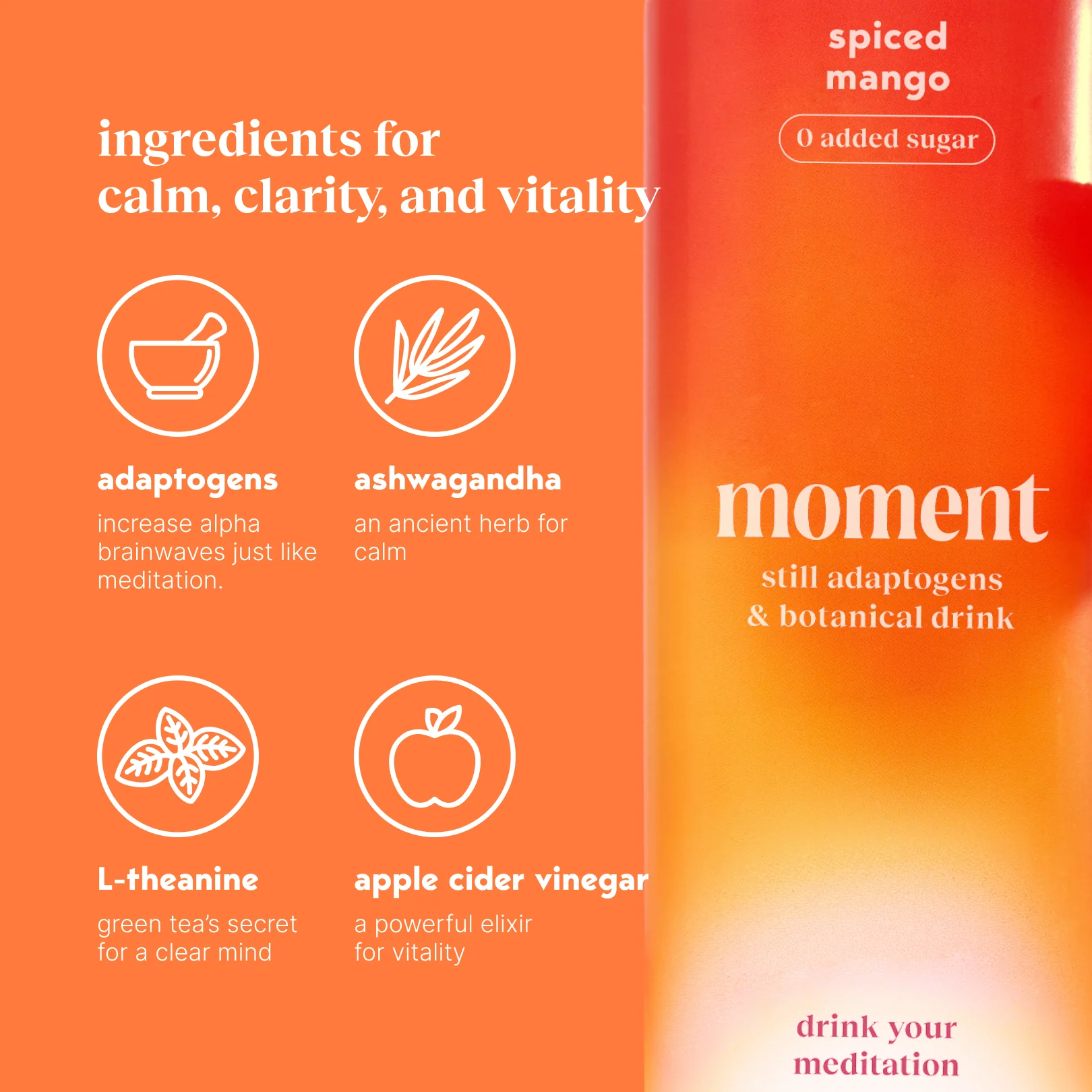 spiced mango (botanical tea | 24 pack) - Image 4