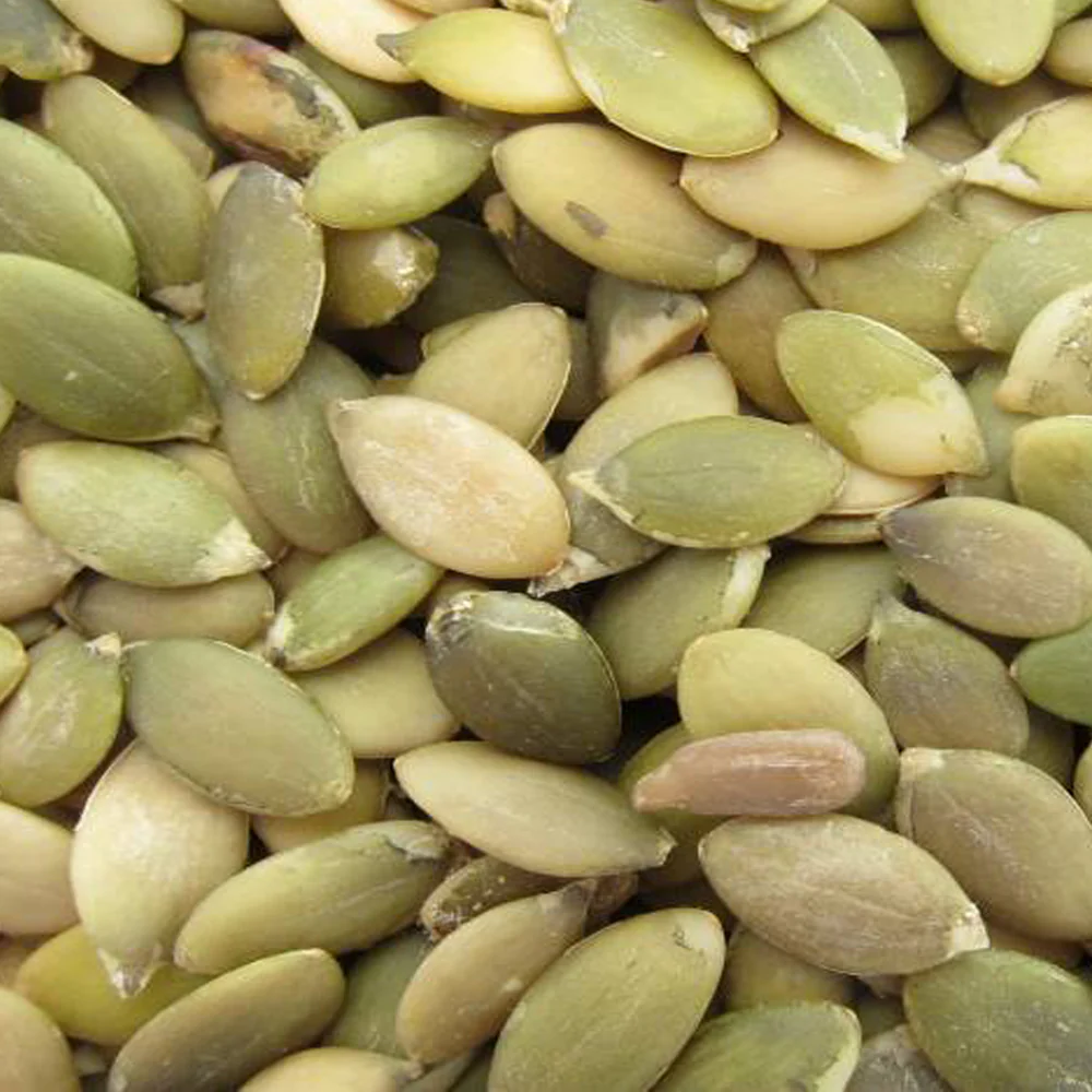 Pumpkin Seeds, Sprouted Organic - Image 4