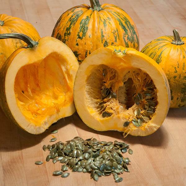 Styrian Pumpkin Seeds, Sprouted Organic - Image 3