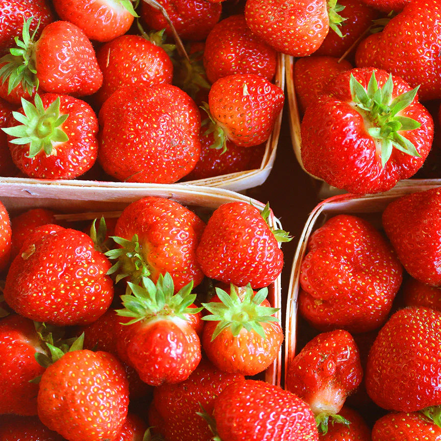 Strawberry Rhubarb Preserve - Image 8