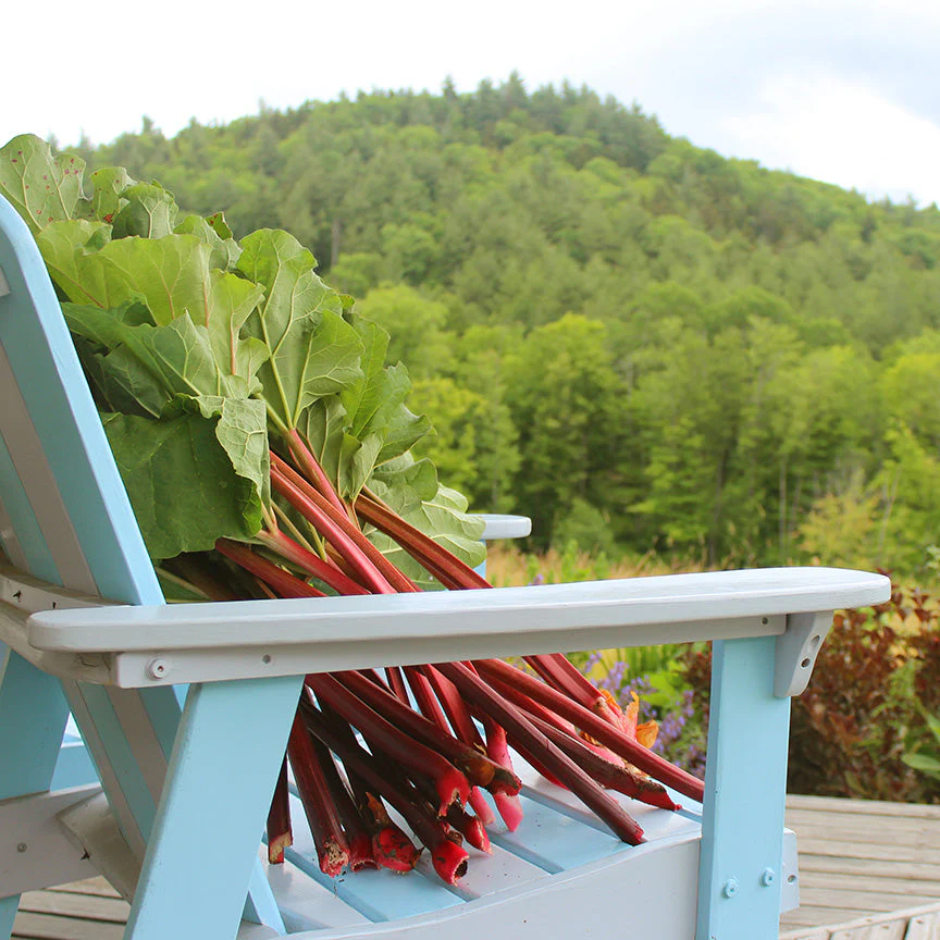 Strawberry Rhubarb Preserve - Image 9