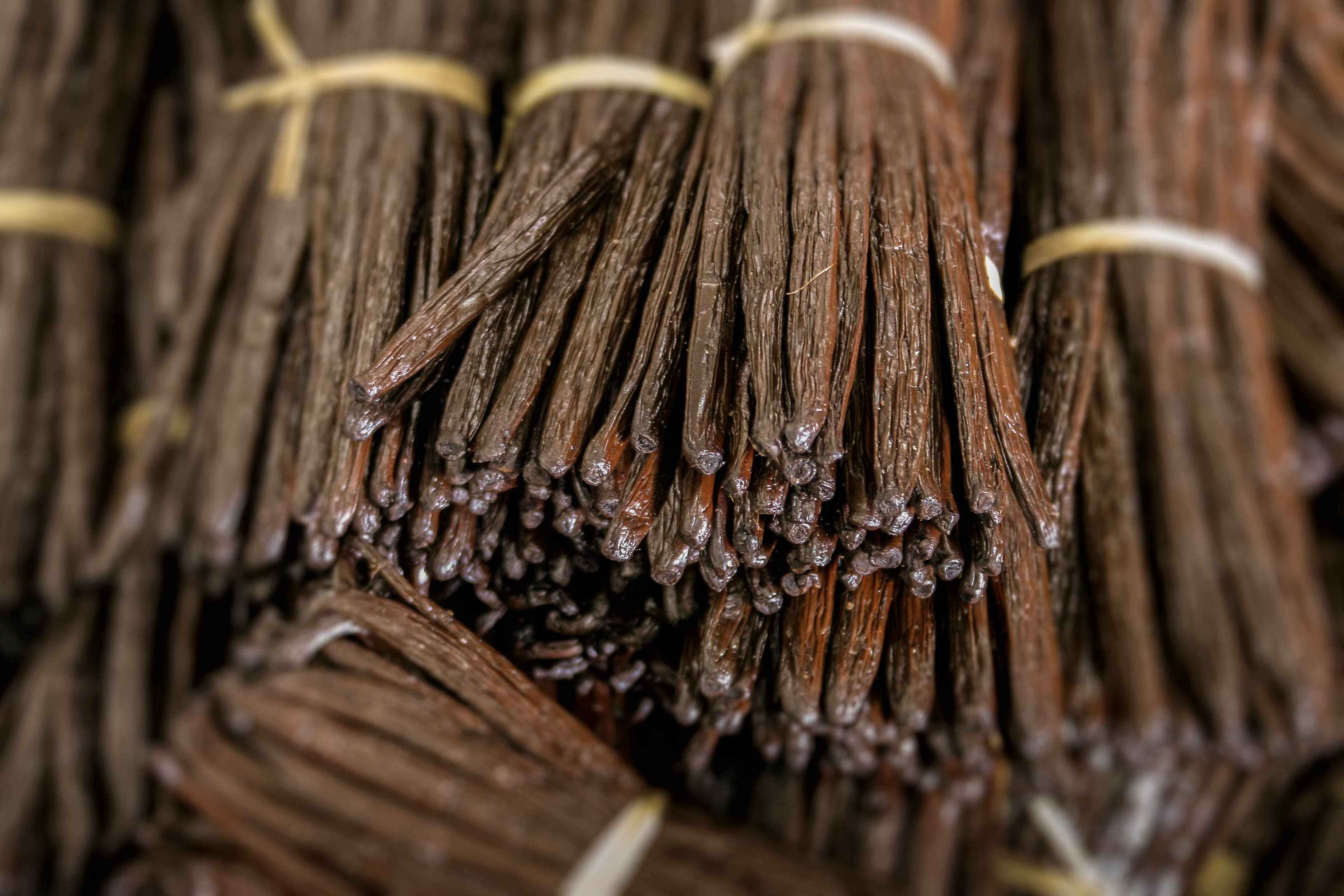 Sumatra Vanilla Beans - Whole Grade A Vanilla Pods for Vanilla Extract and Baking - Image 3