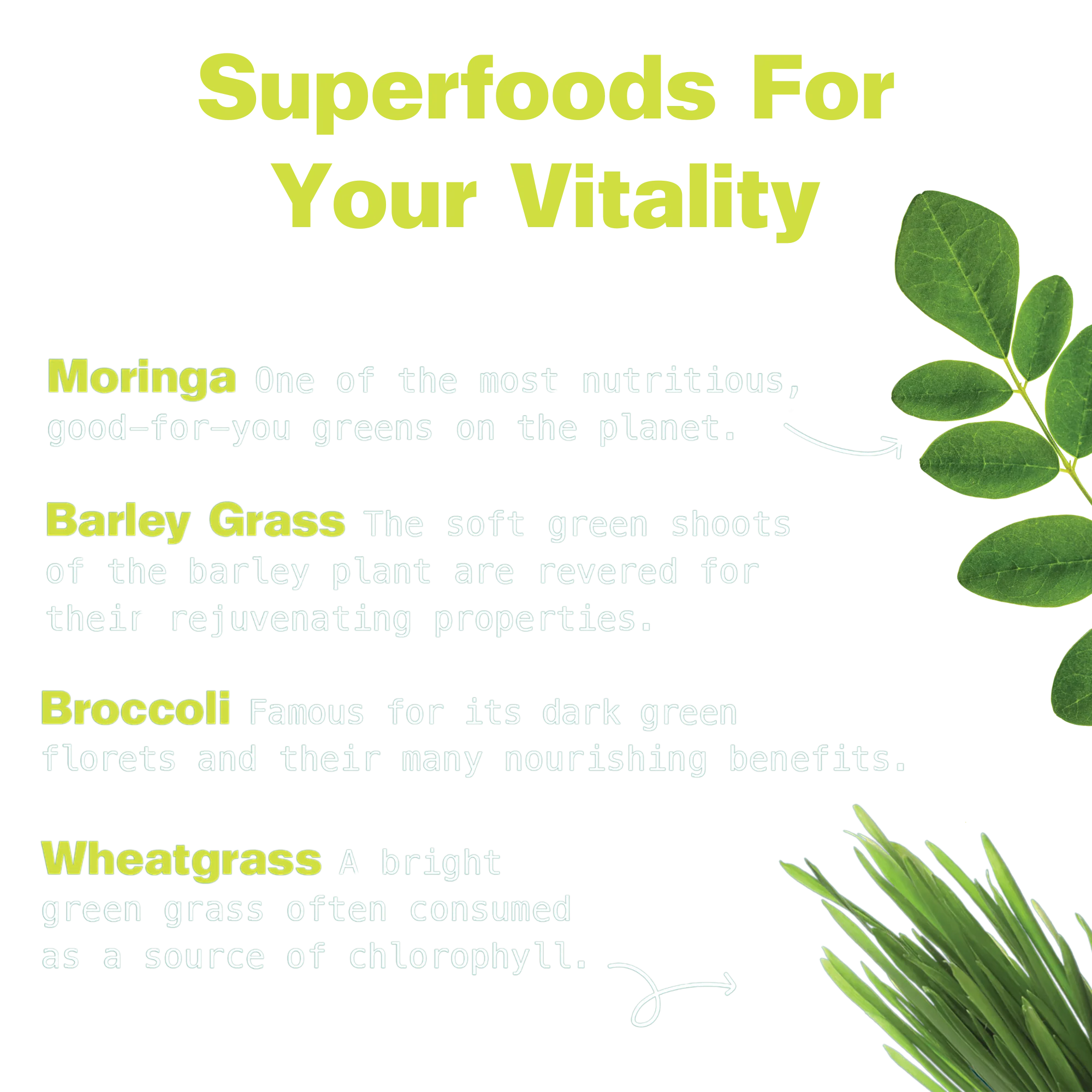 Super Greens Superfood Blend - Image 4