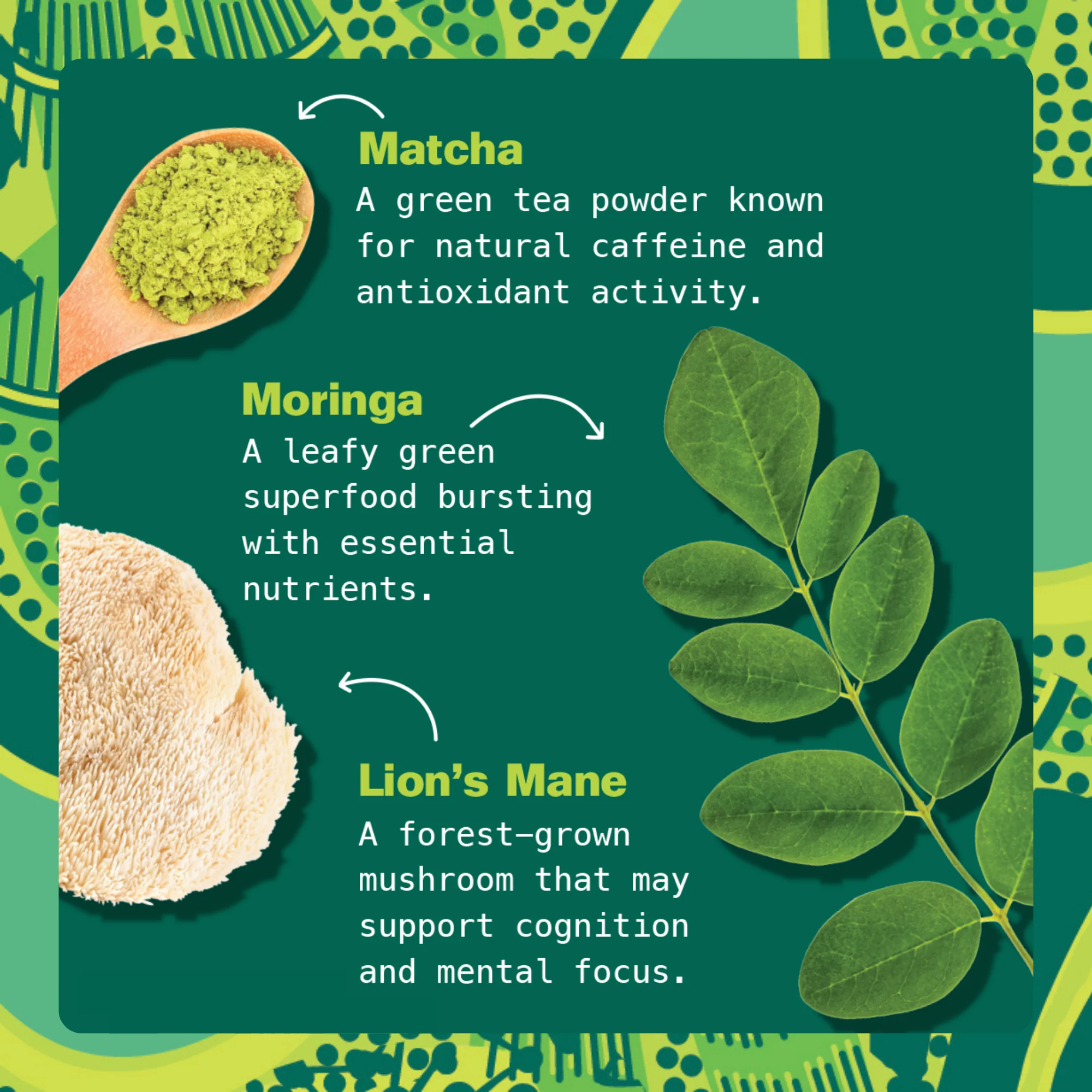 Superfood Lattes - Variety Pack - Image 5
