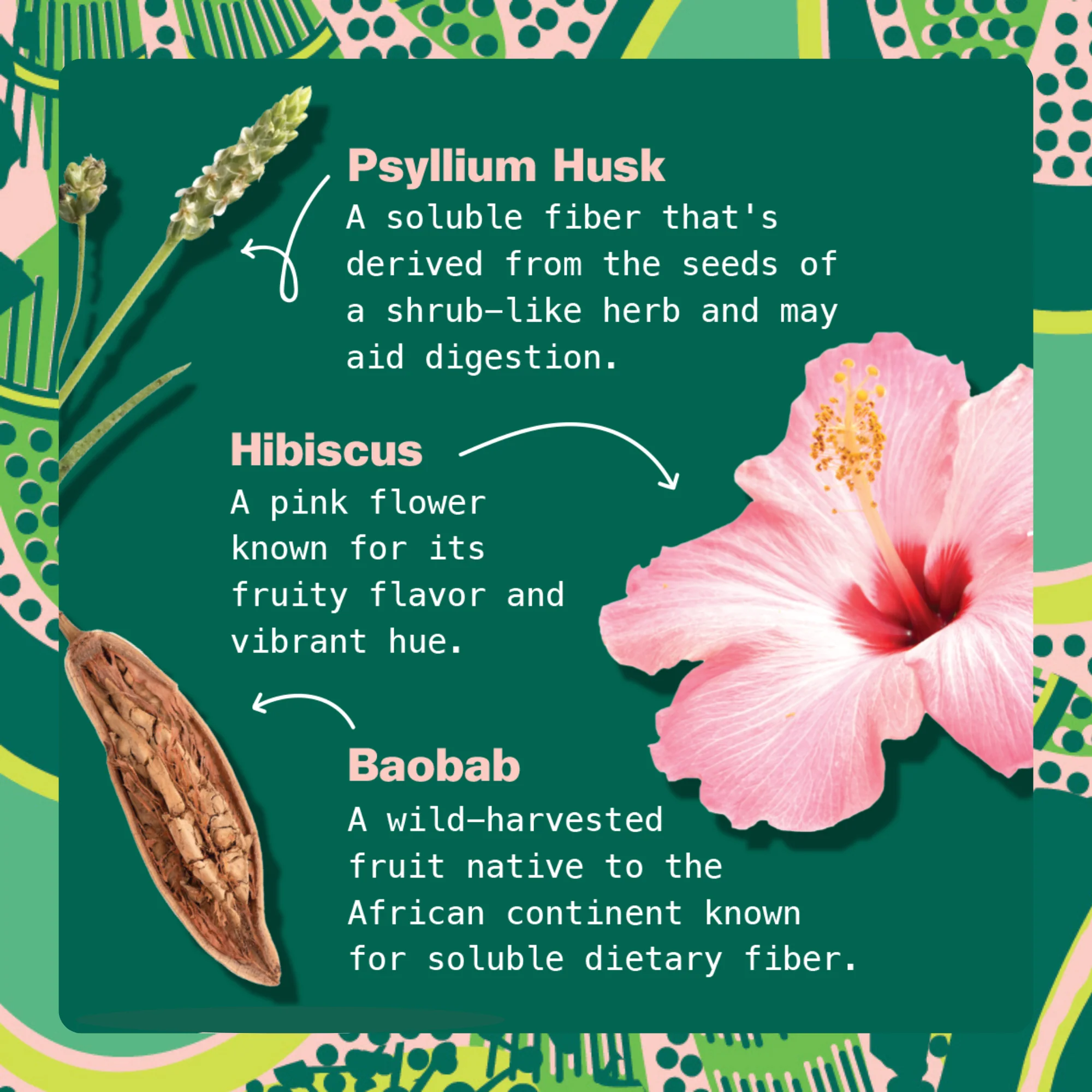 Superfood Lattes - Variety Pack - Image 7