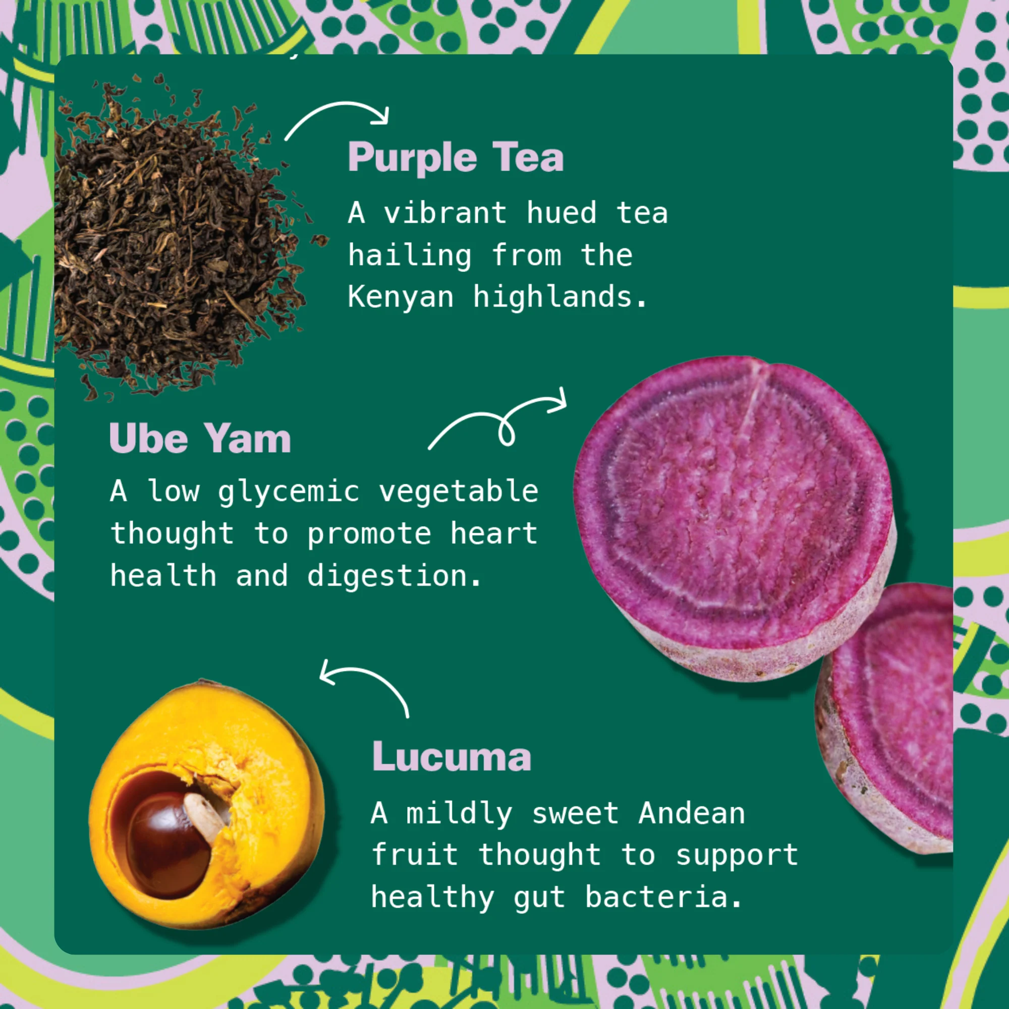 Superfood Lattes - Variety Pack - Image 9