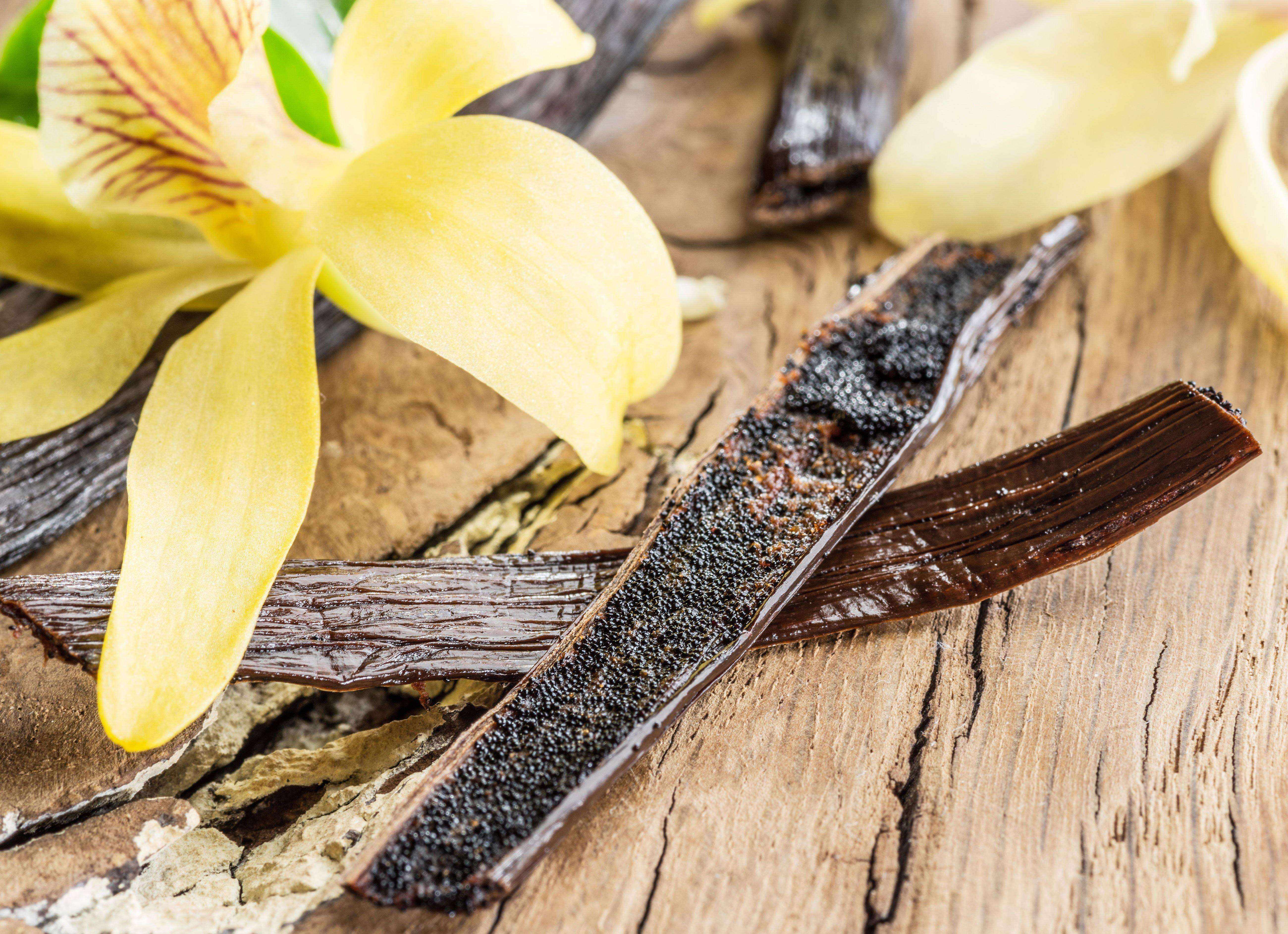 Tahitian Vanilla Beans - Whole Grade A Pods - Image 4