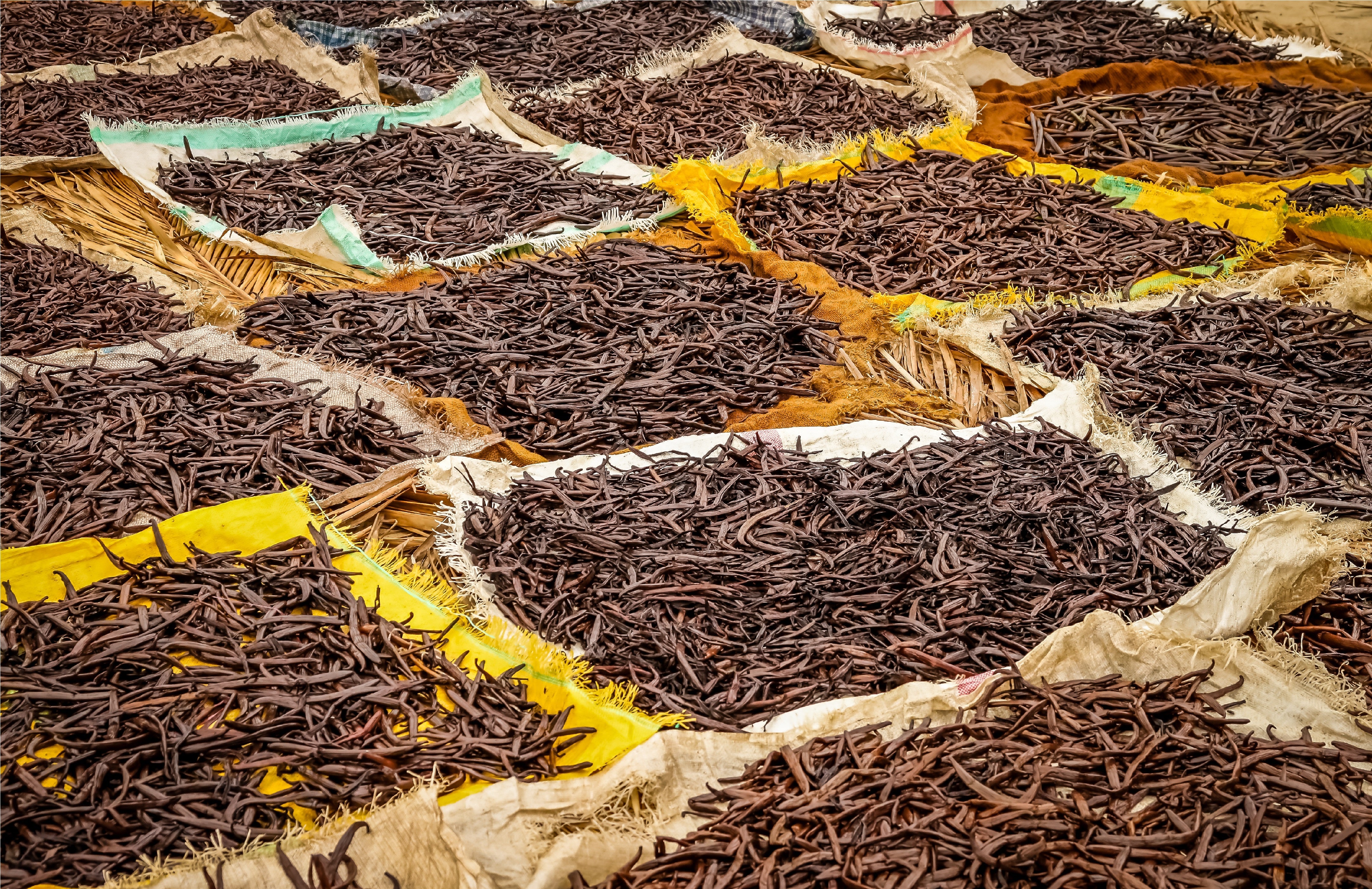 Tanzania Vanilla Beans - Whole Grade A Vanilla Pods - Image 8