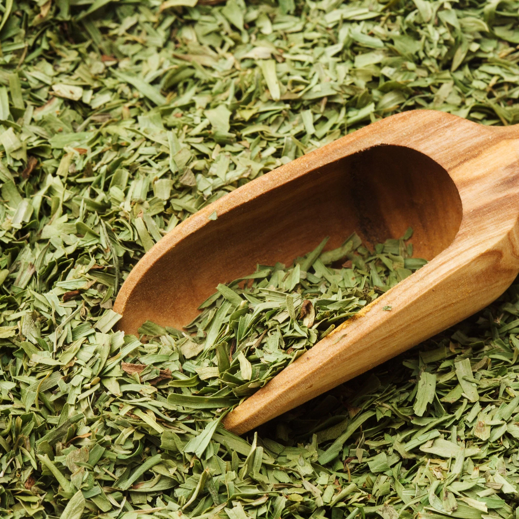 Tarragon - Image 4