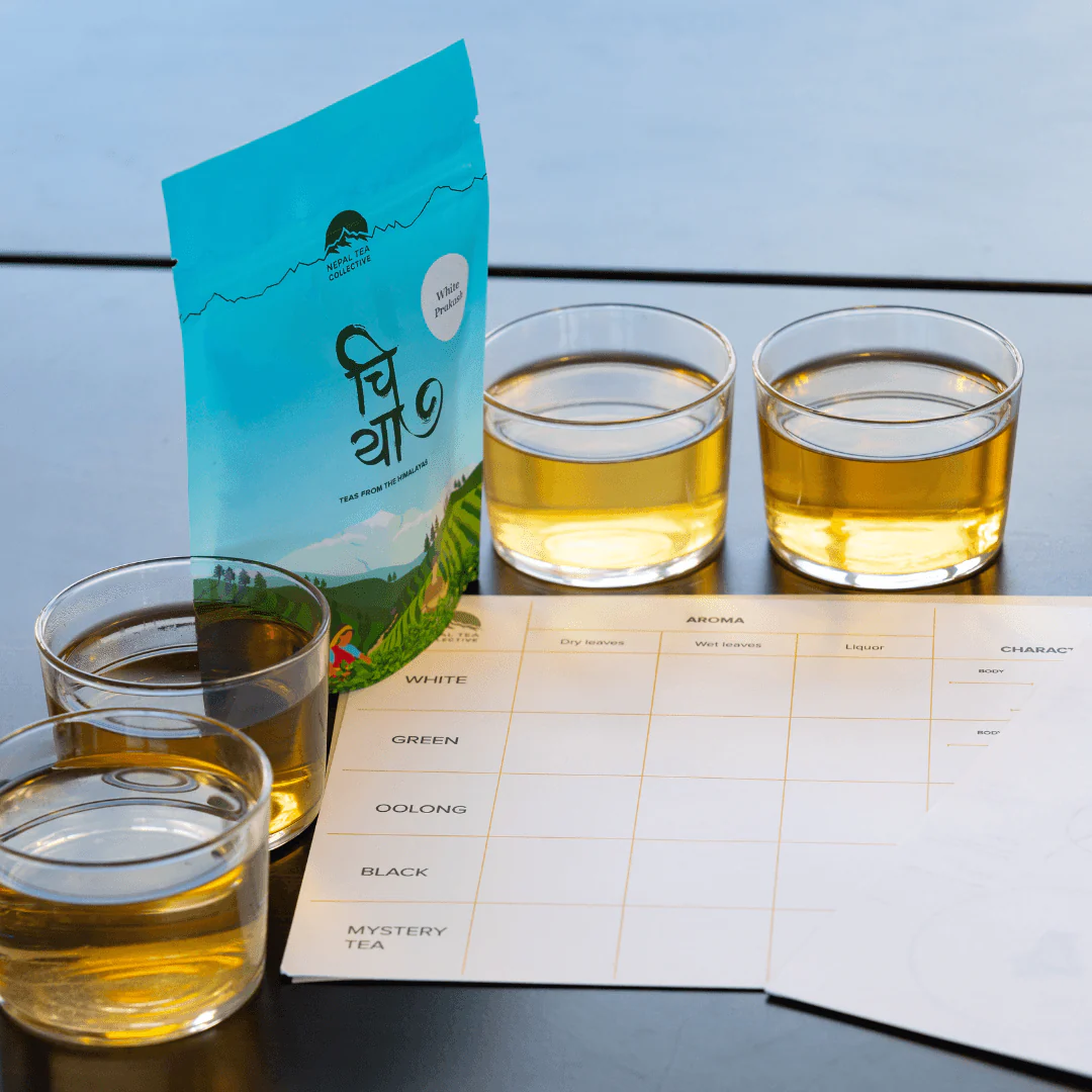 Tea Experience Box - Image 2