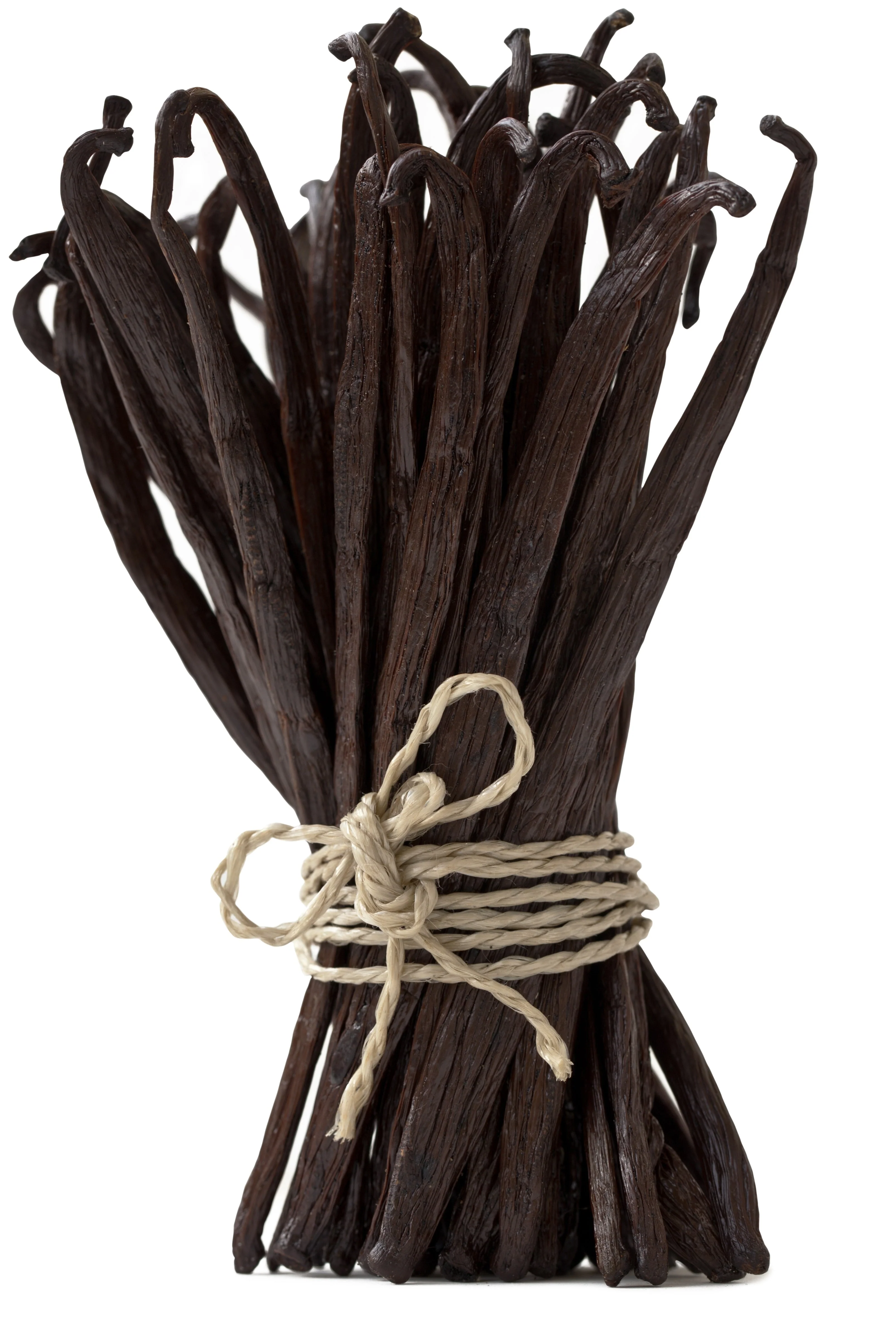 Ugandan Vanilla Beans - Grade A Whole Pods for Vanilla Extract Baking - Image 7