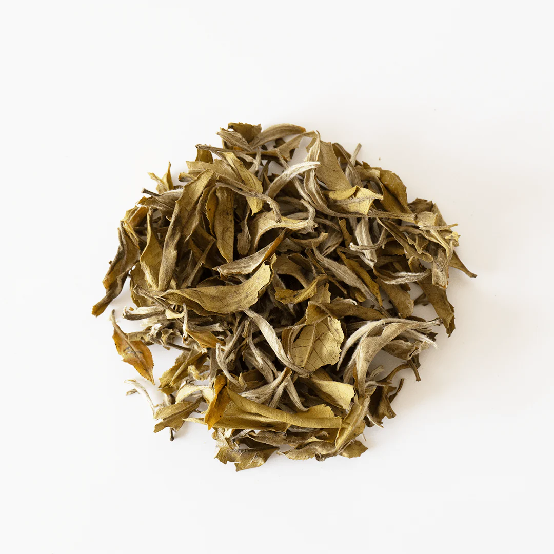 White Peony Tea - Image 3