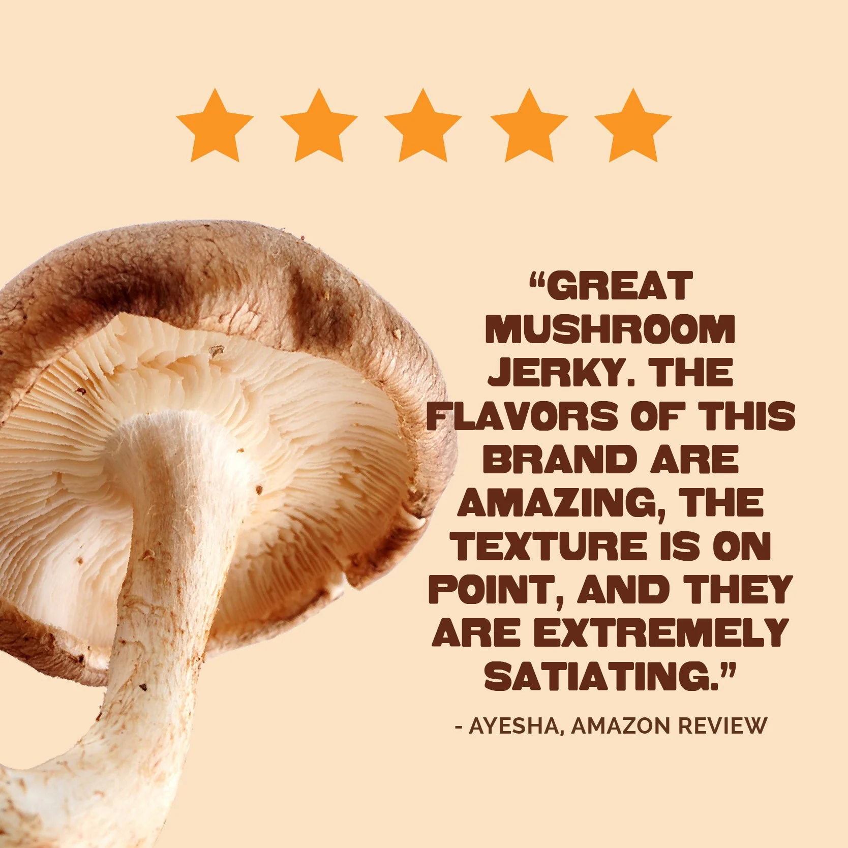 Zesty Thai Mushroom Jerky - Image 6